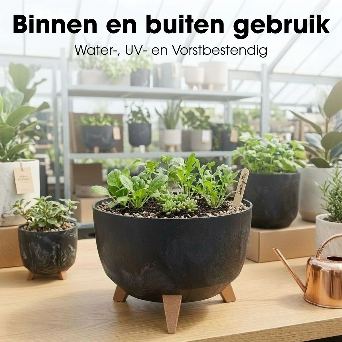 Miniatuur 5