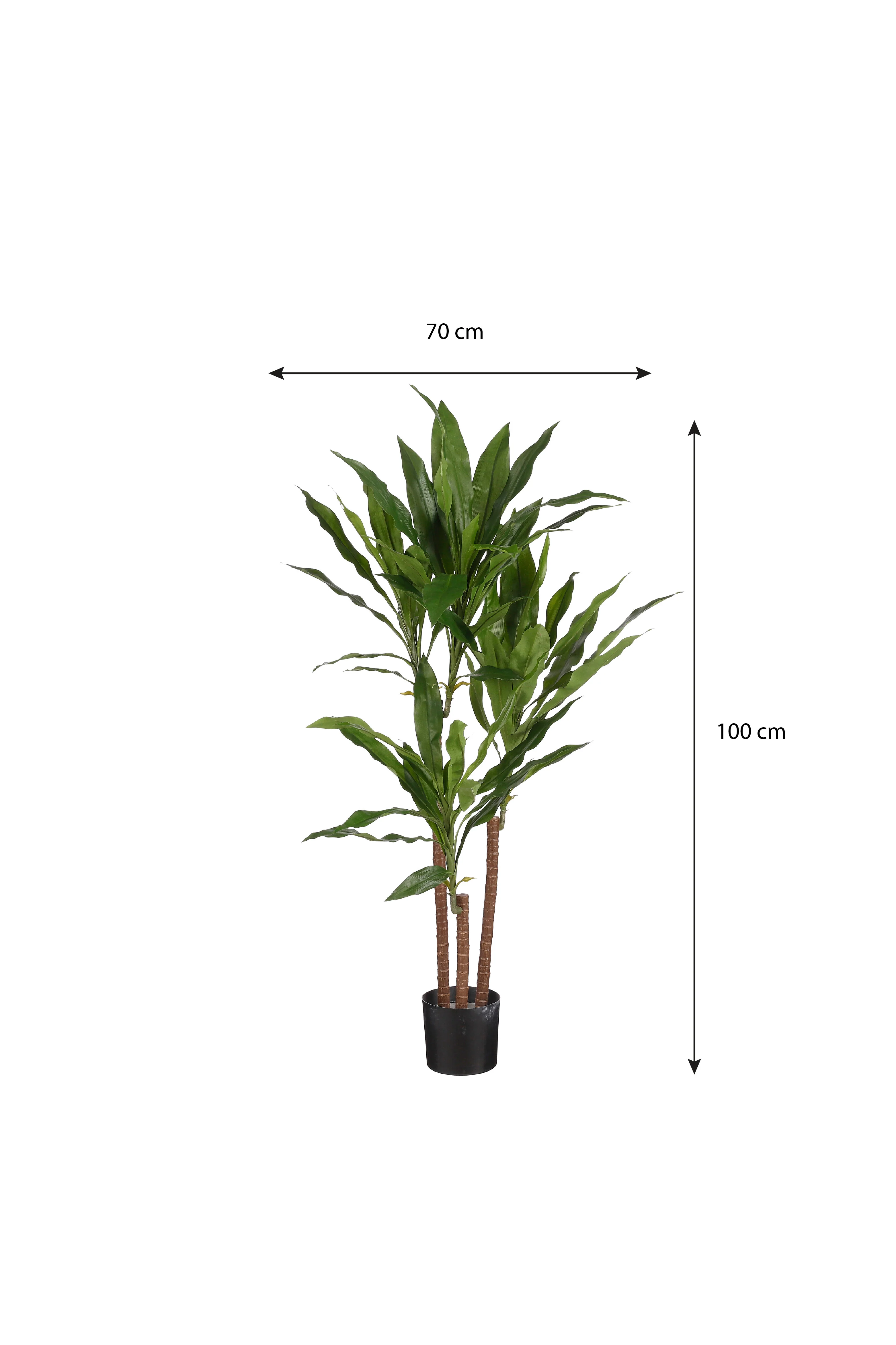 Miniatuur 4
