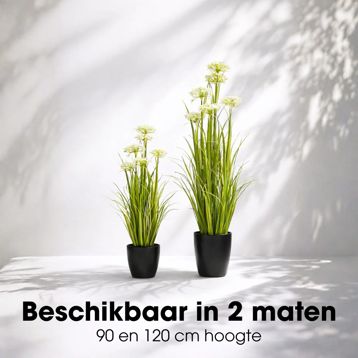 Miniatuur 7