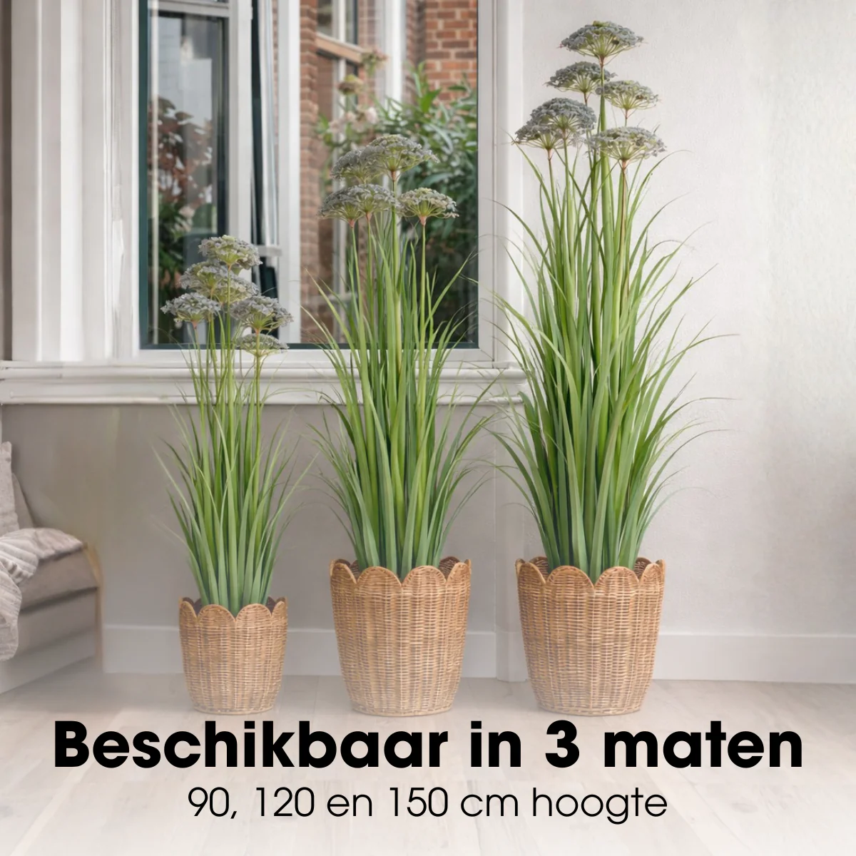 Miniatuur 7