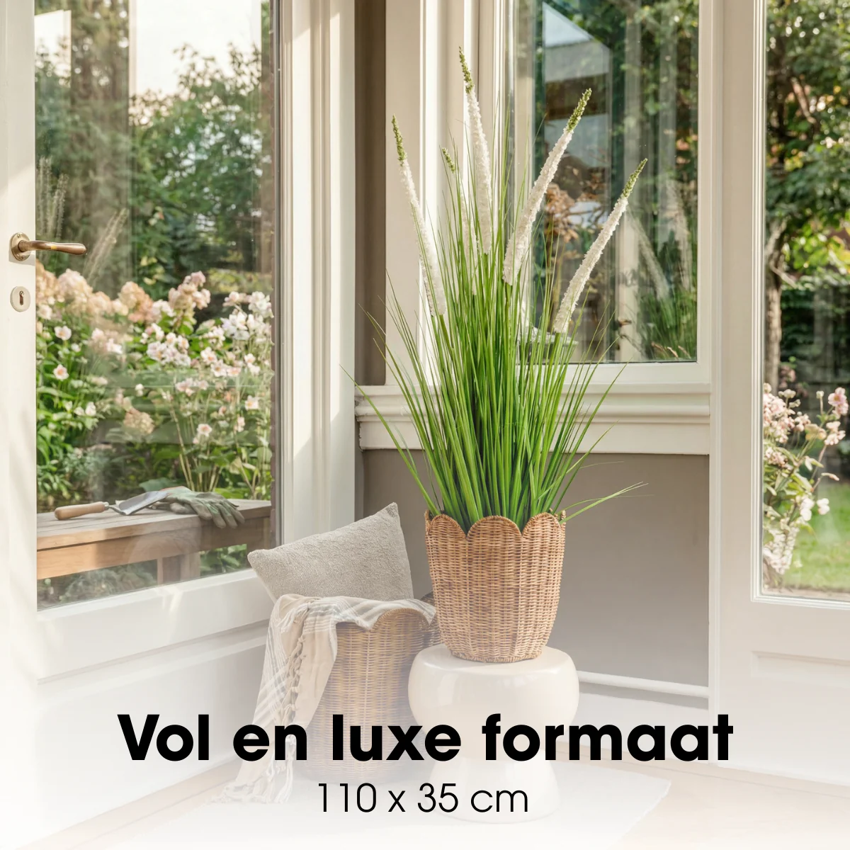 Miniatuur 3