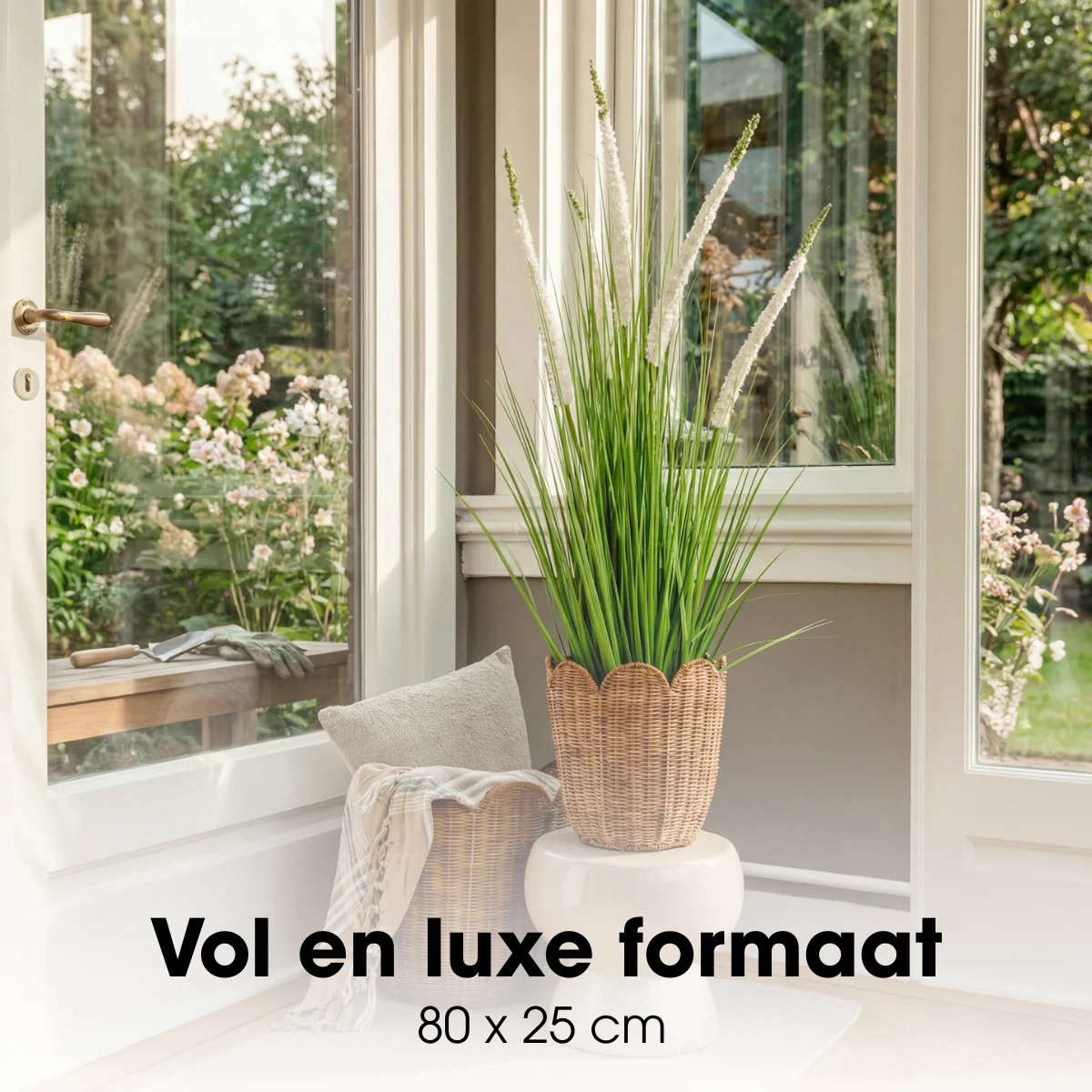 Miniatuur 3