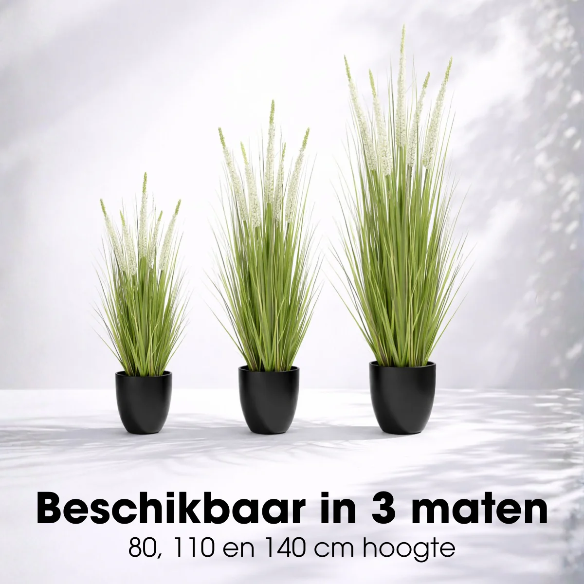 Miniatuur 7