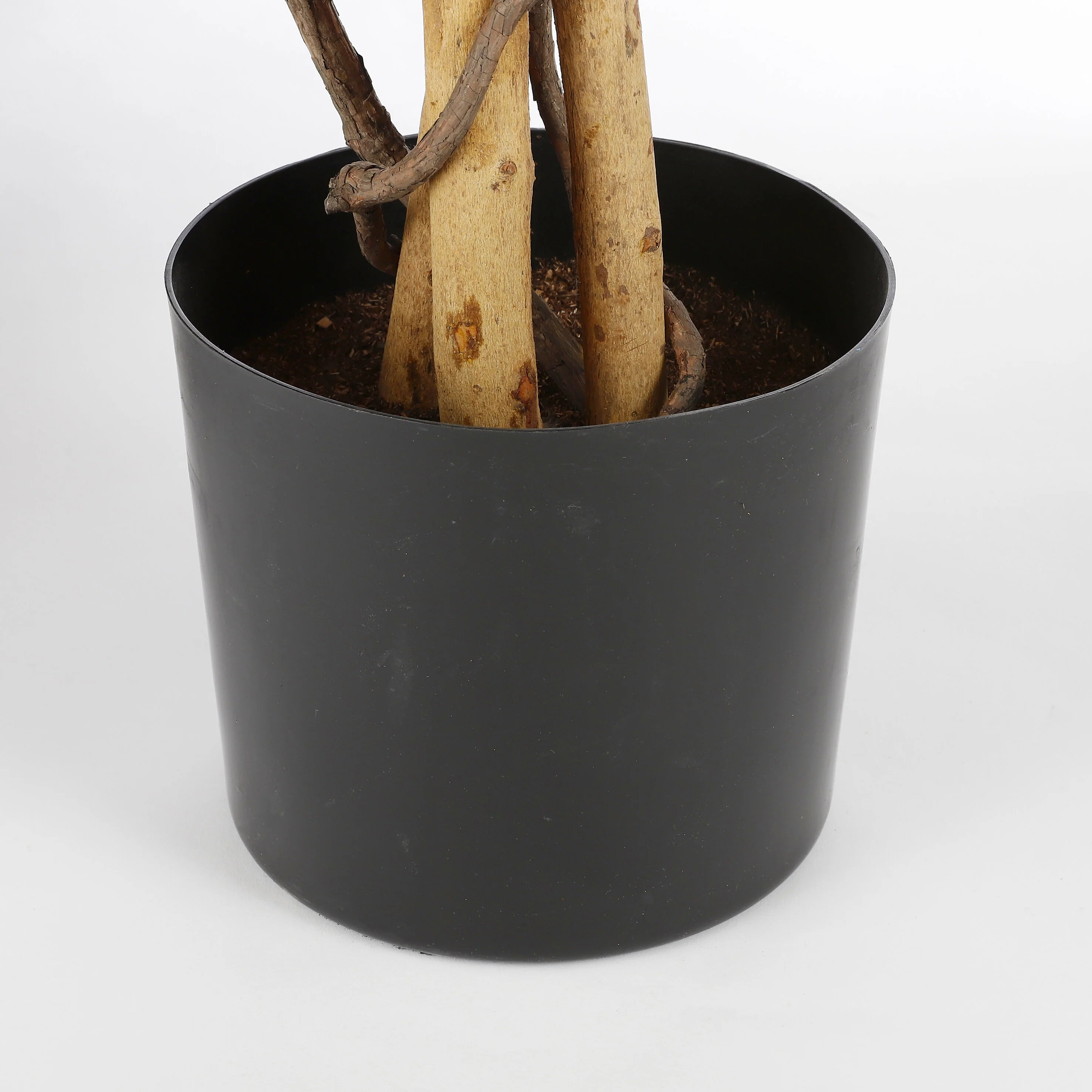Miniatuur 3