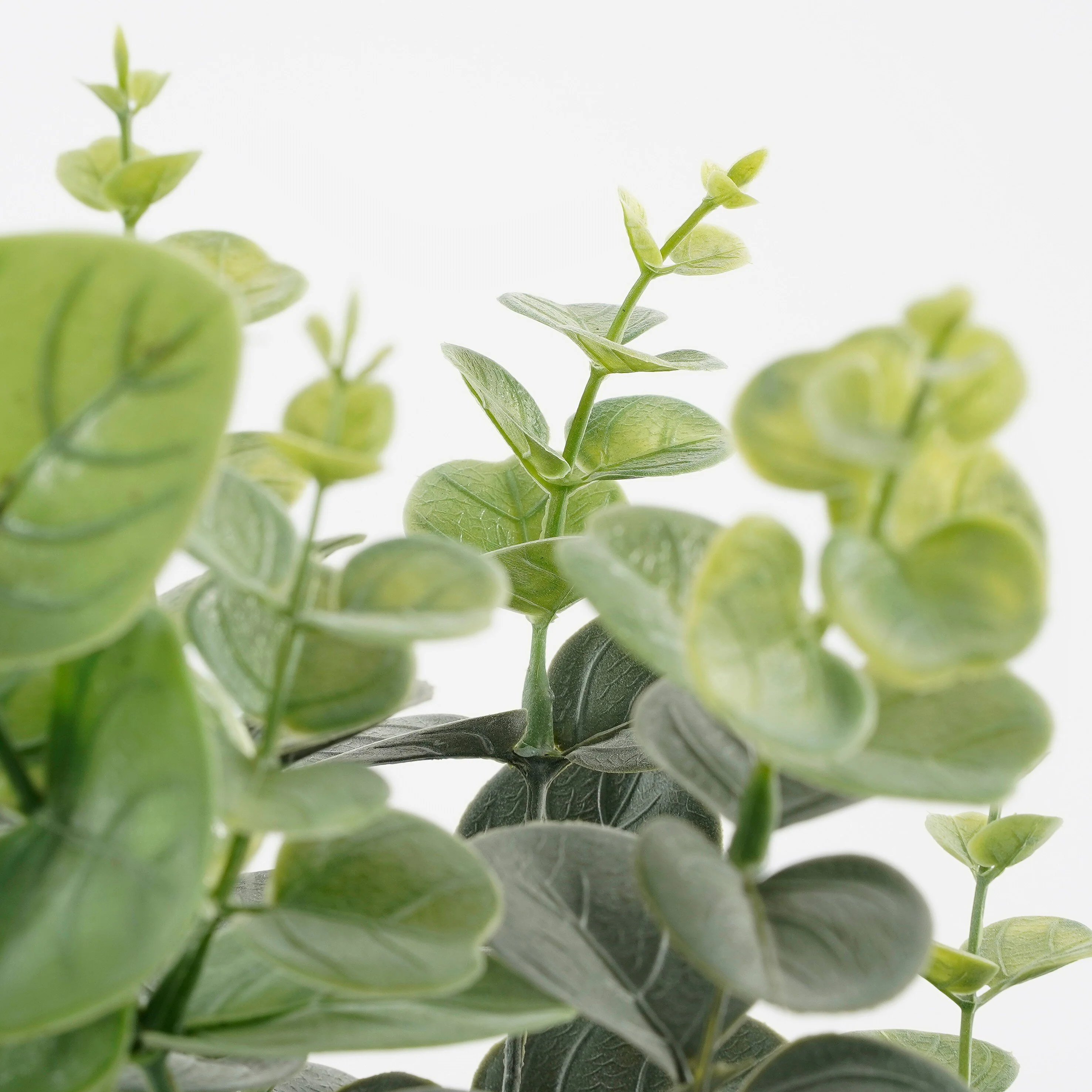Miniatuur 2