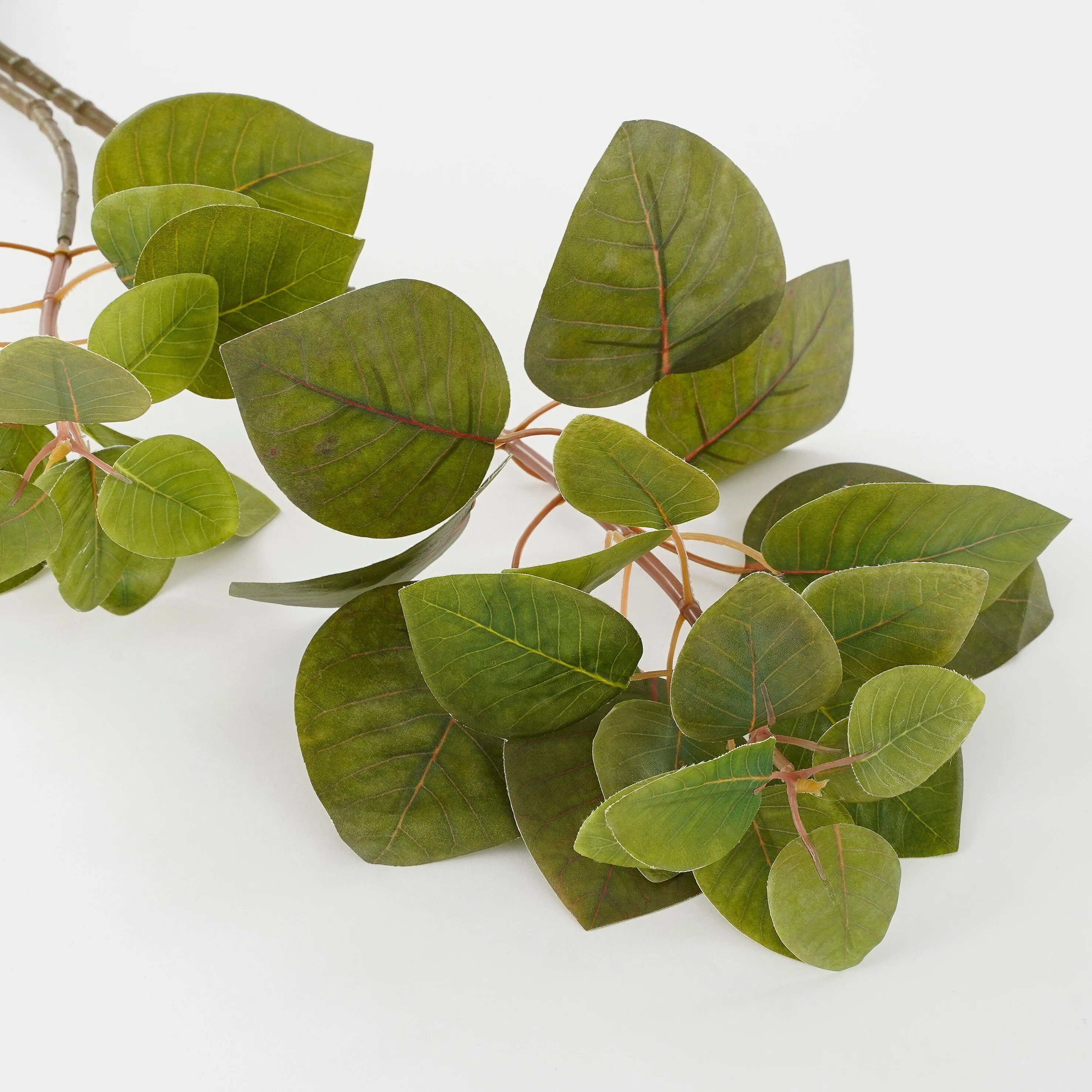 Miniatuur 2