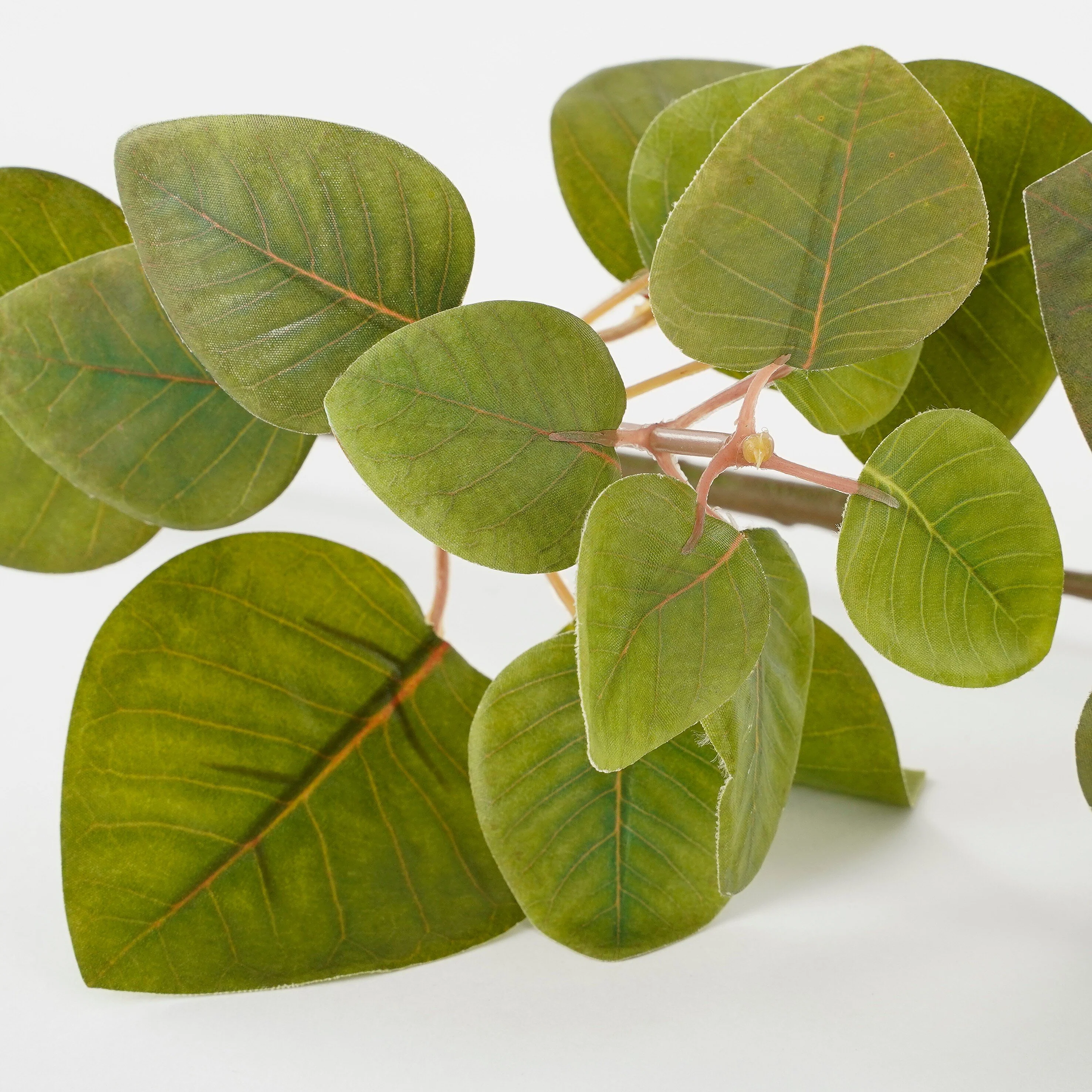 Miniatuur 3