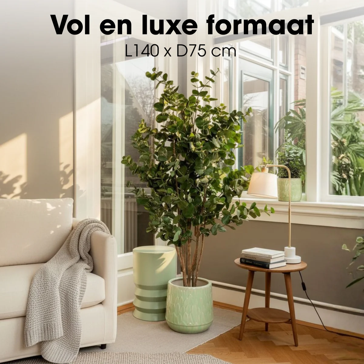 Miniatuur 3