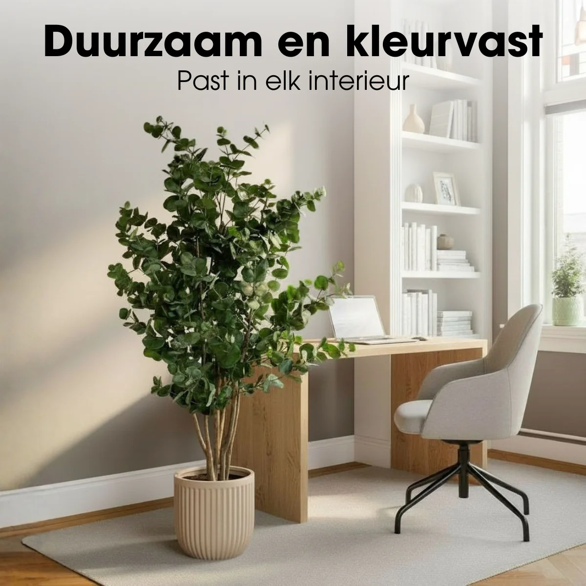 Miniatuur 7