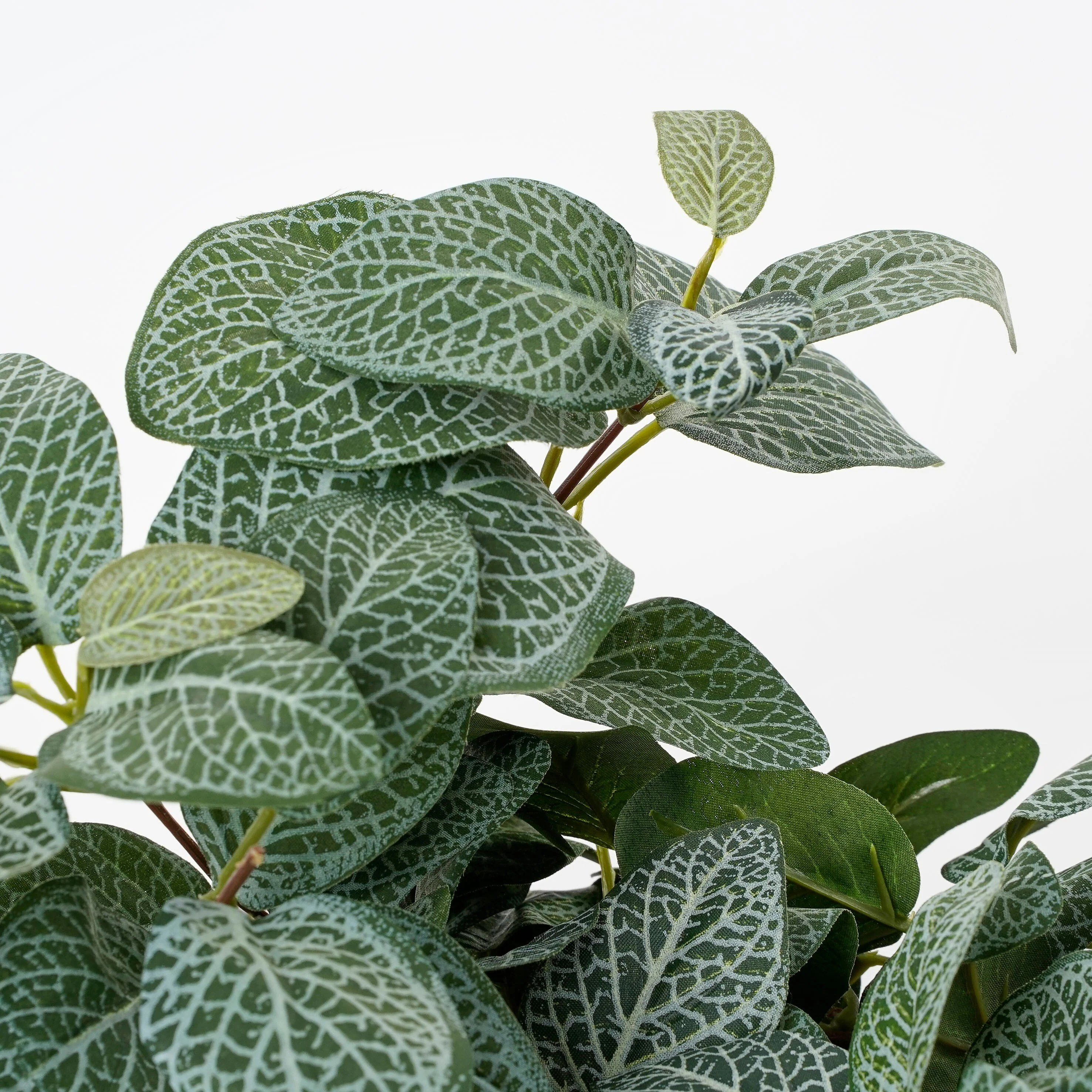 Miniatuur 2