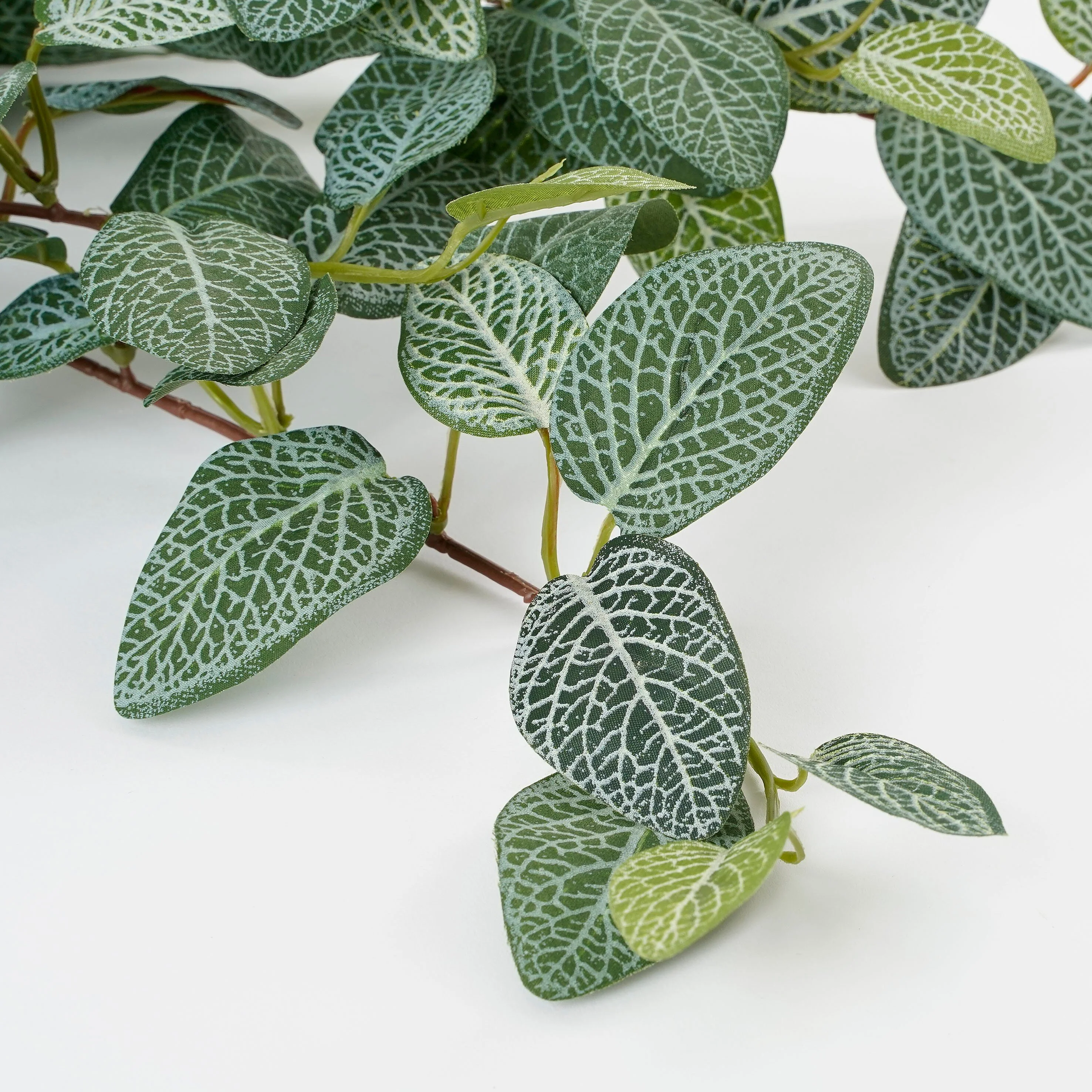Miniatuur 3