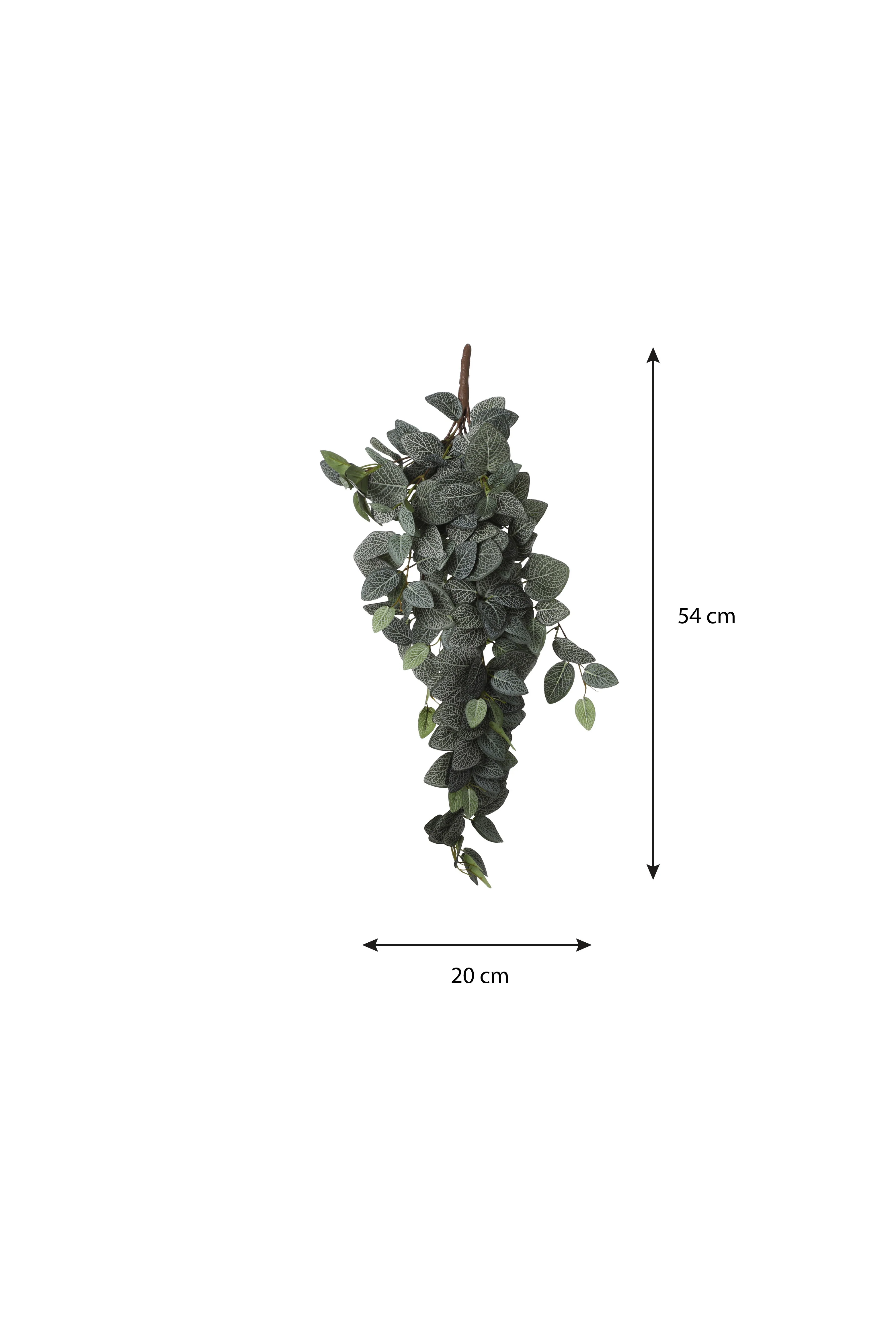 Miniatuur 4