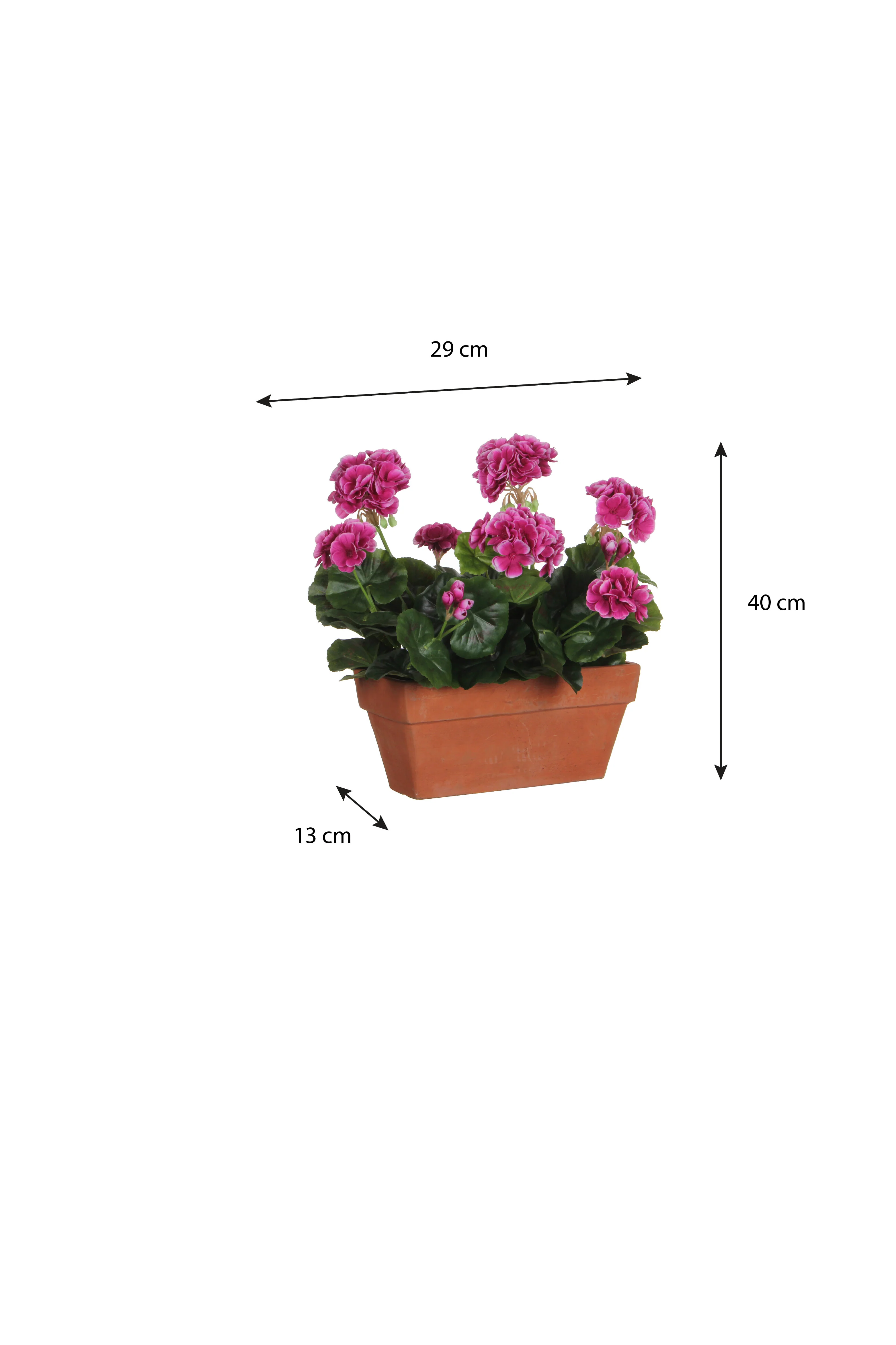 Miniatuur 4
