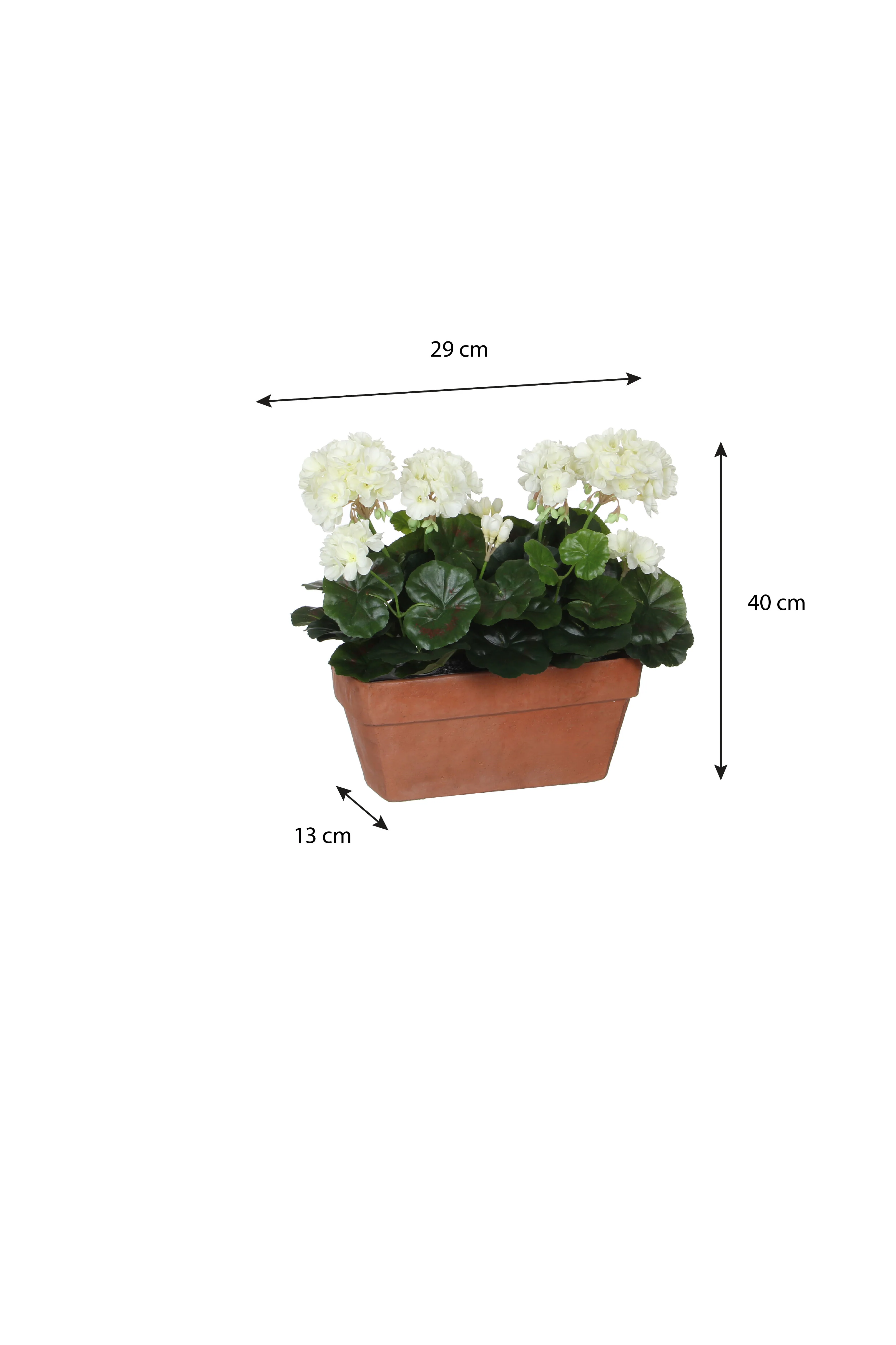 Miniatuur 4