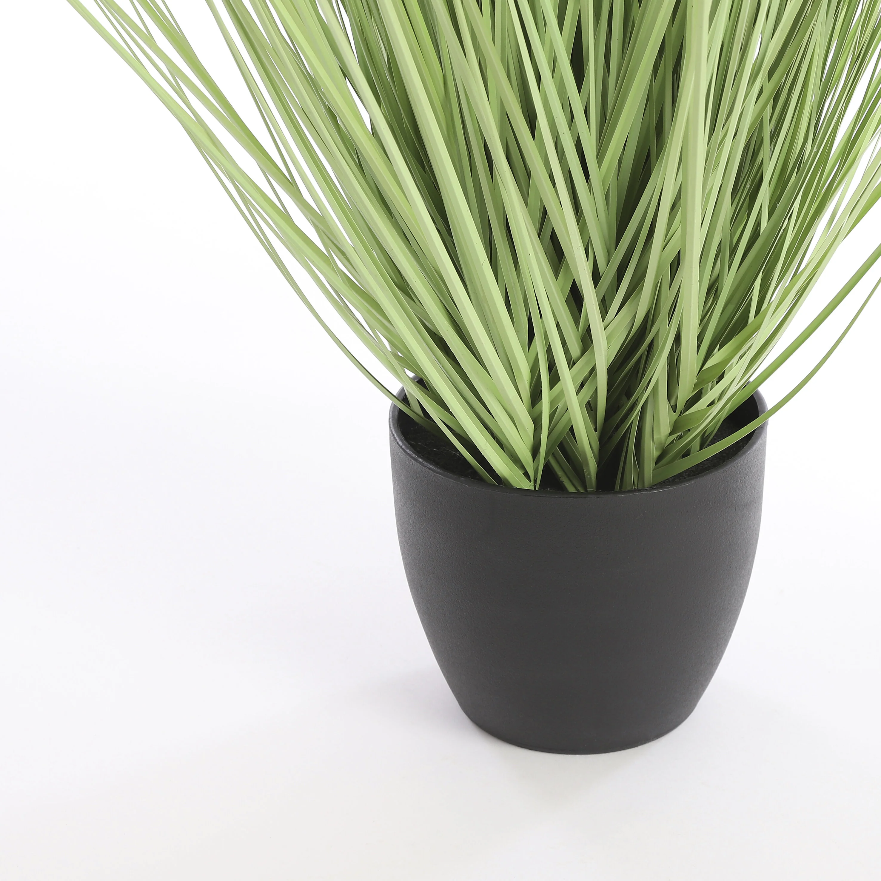 Miniatuur 3