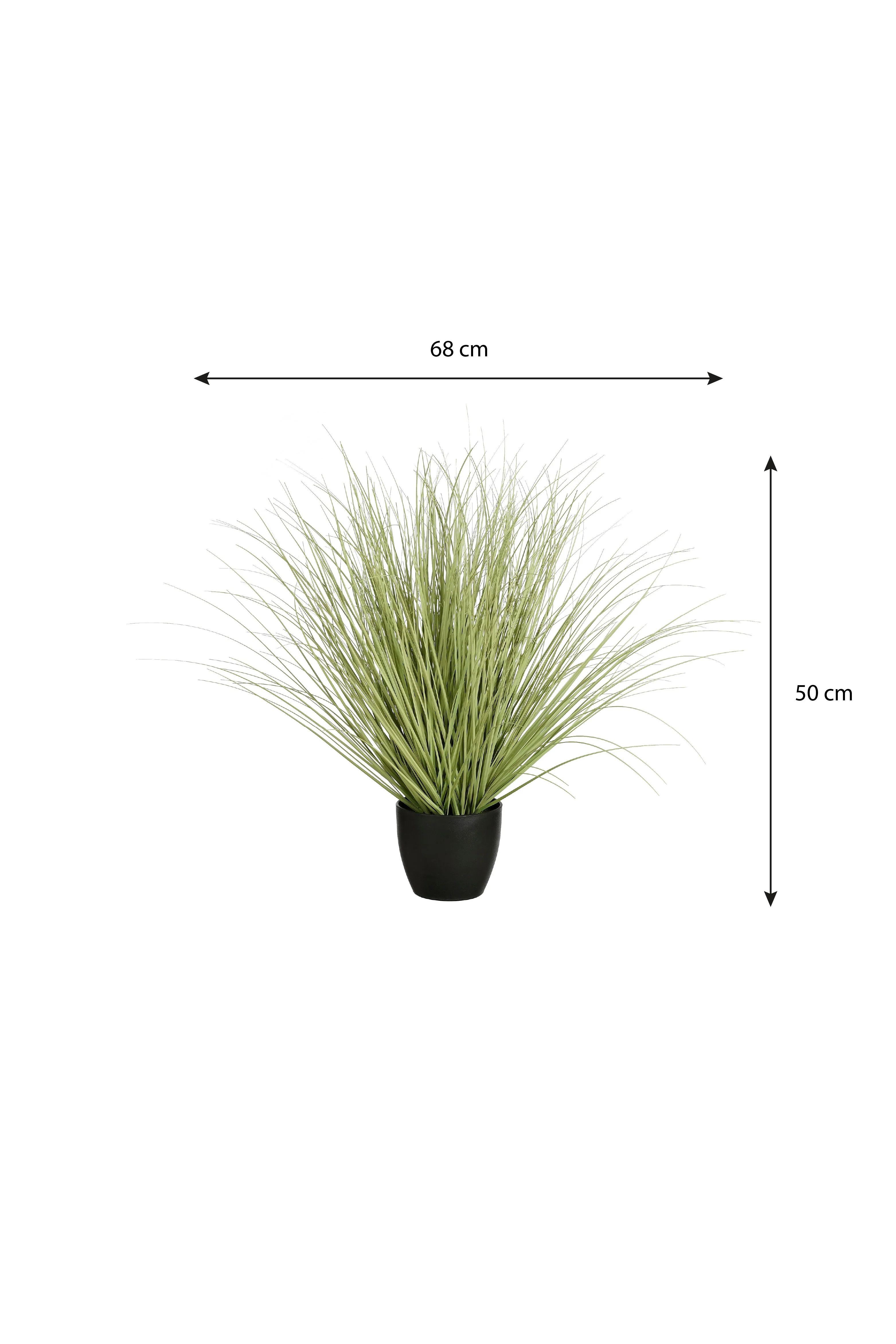 Miniatuur 4