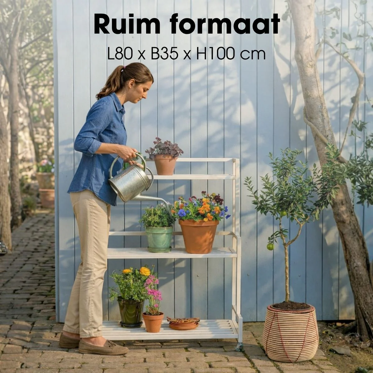 Miniatuur 3