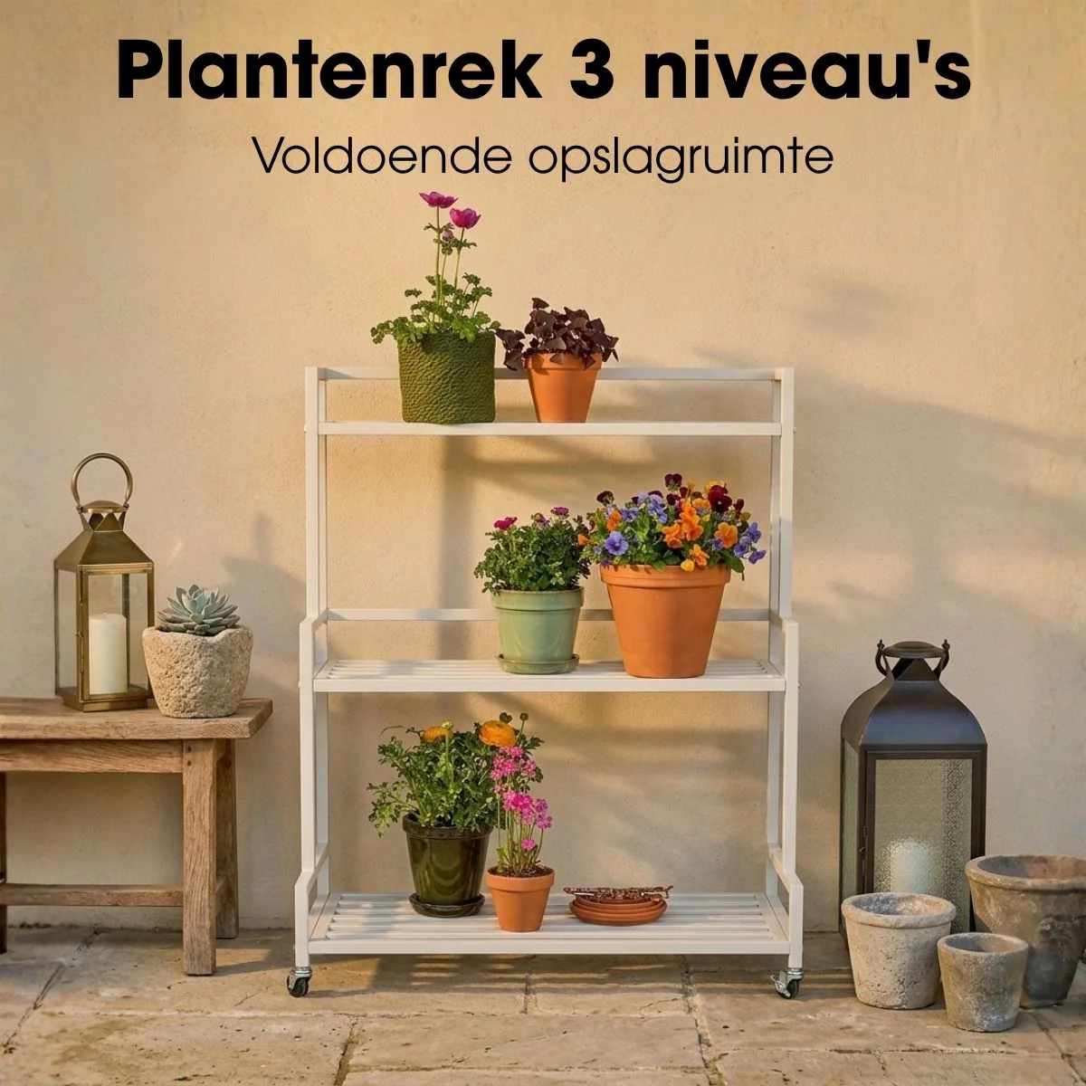 Miniatuur 7