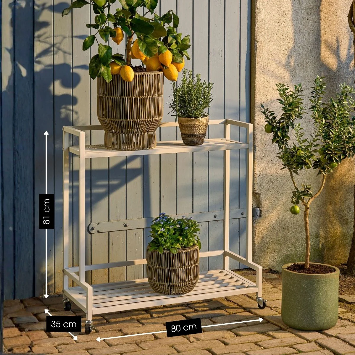 Miniatuur 2