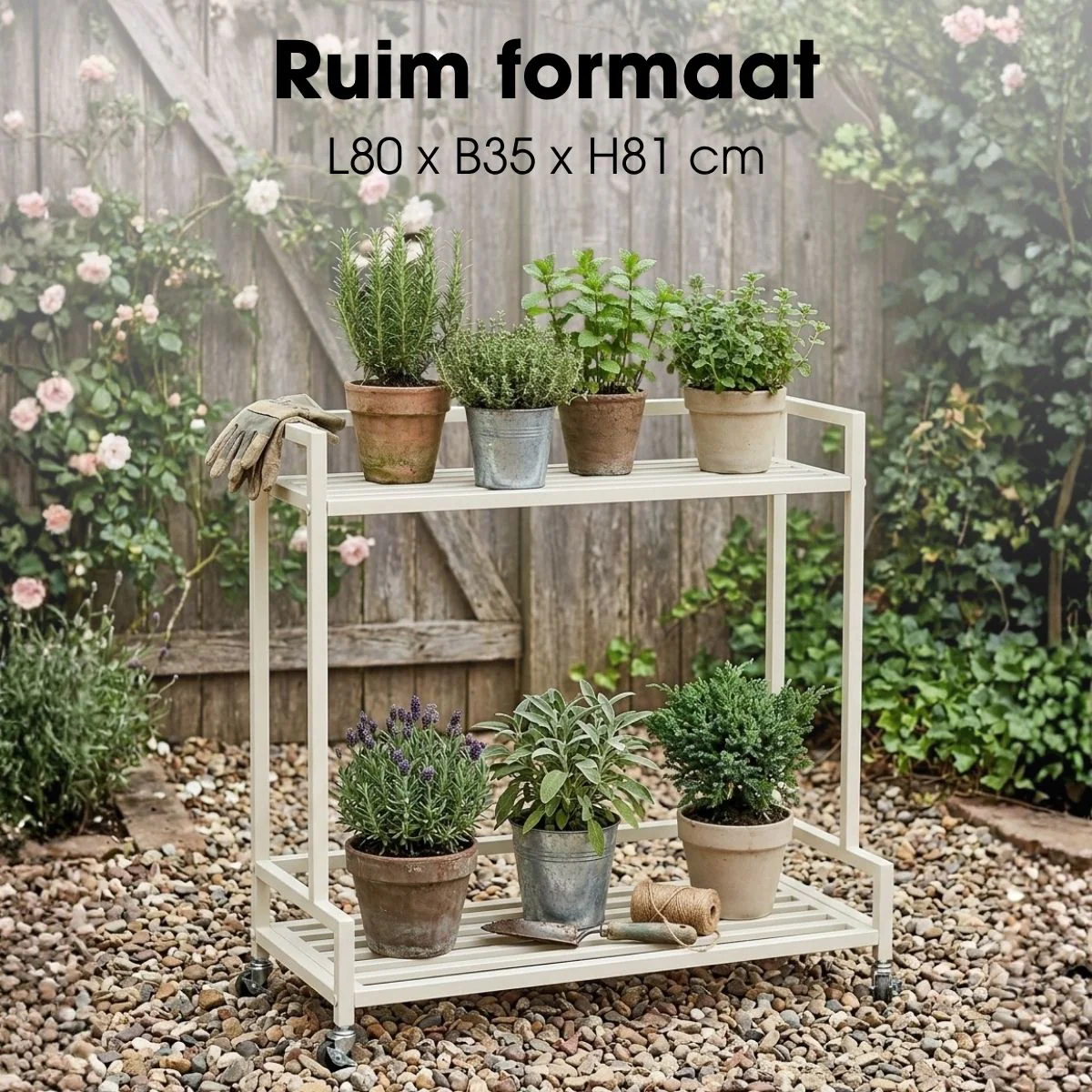 Miniatuur 3