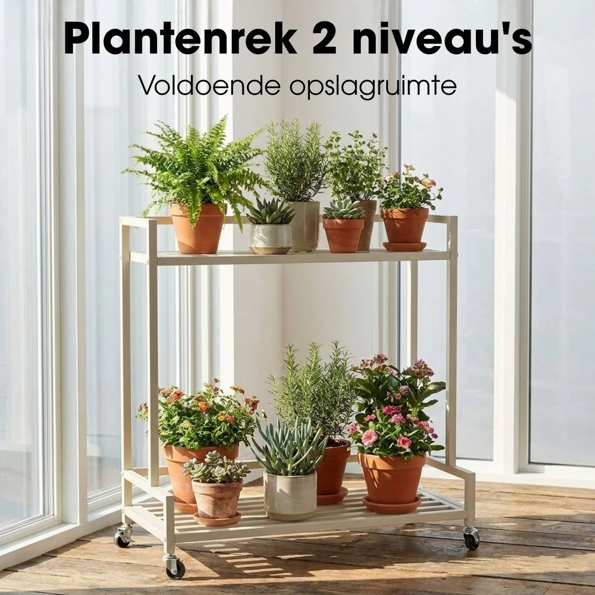 Miniatuur 7