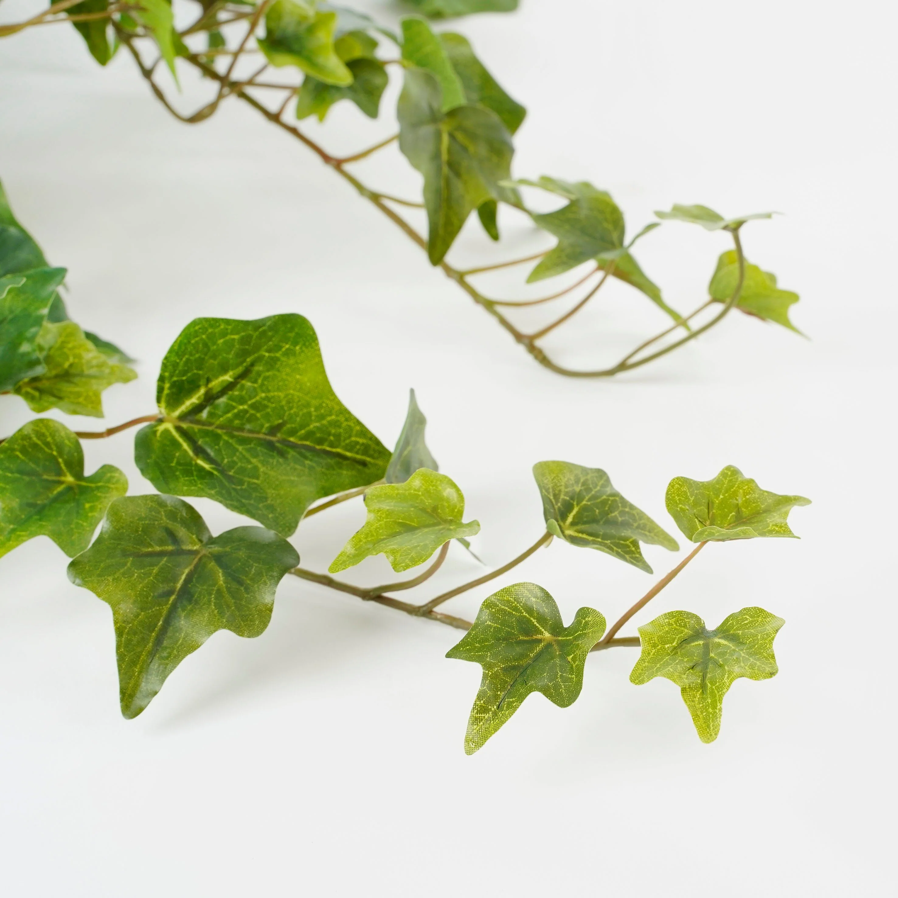 Miniatuur 3