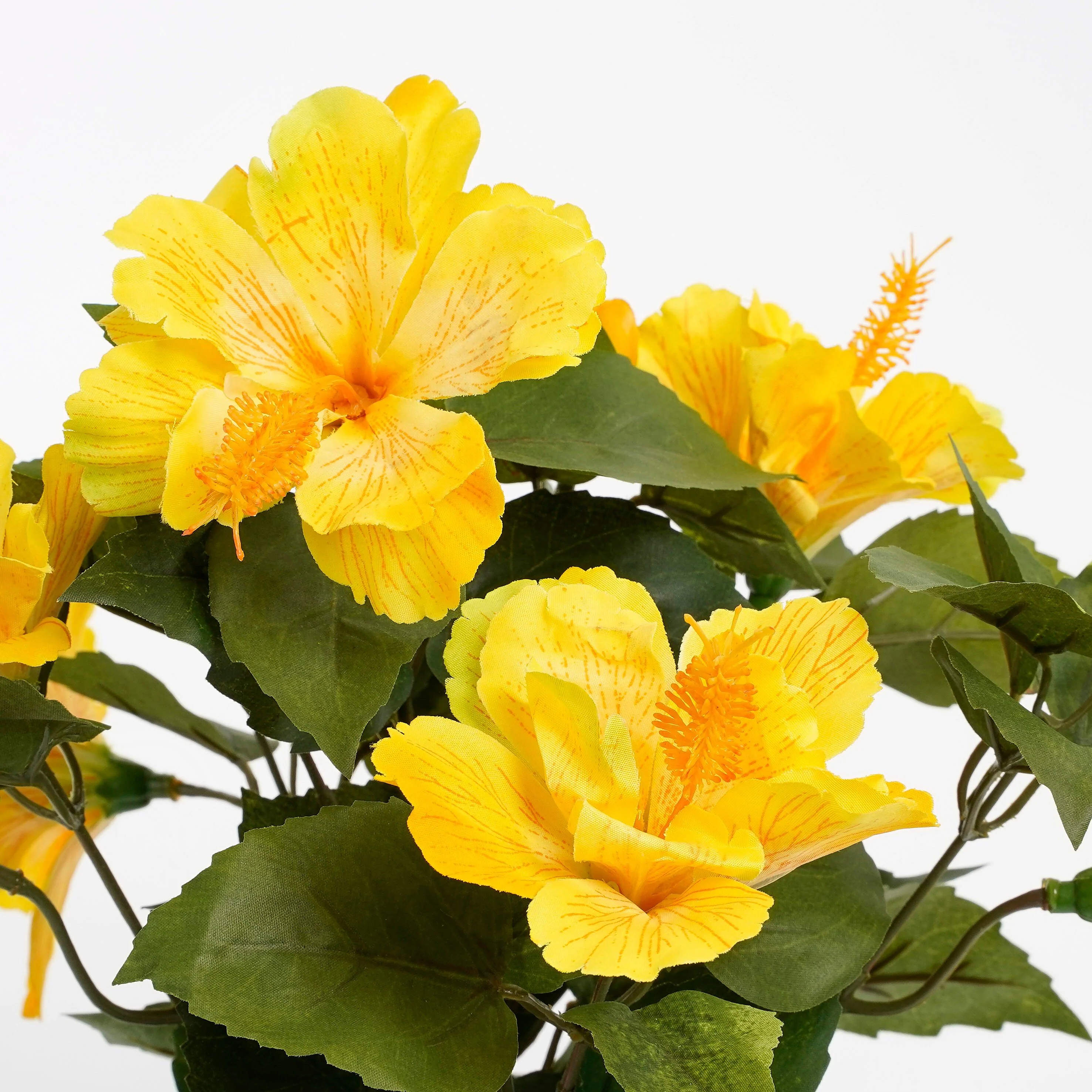 Miniatuur 2