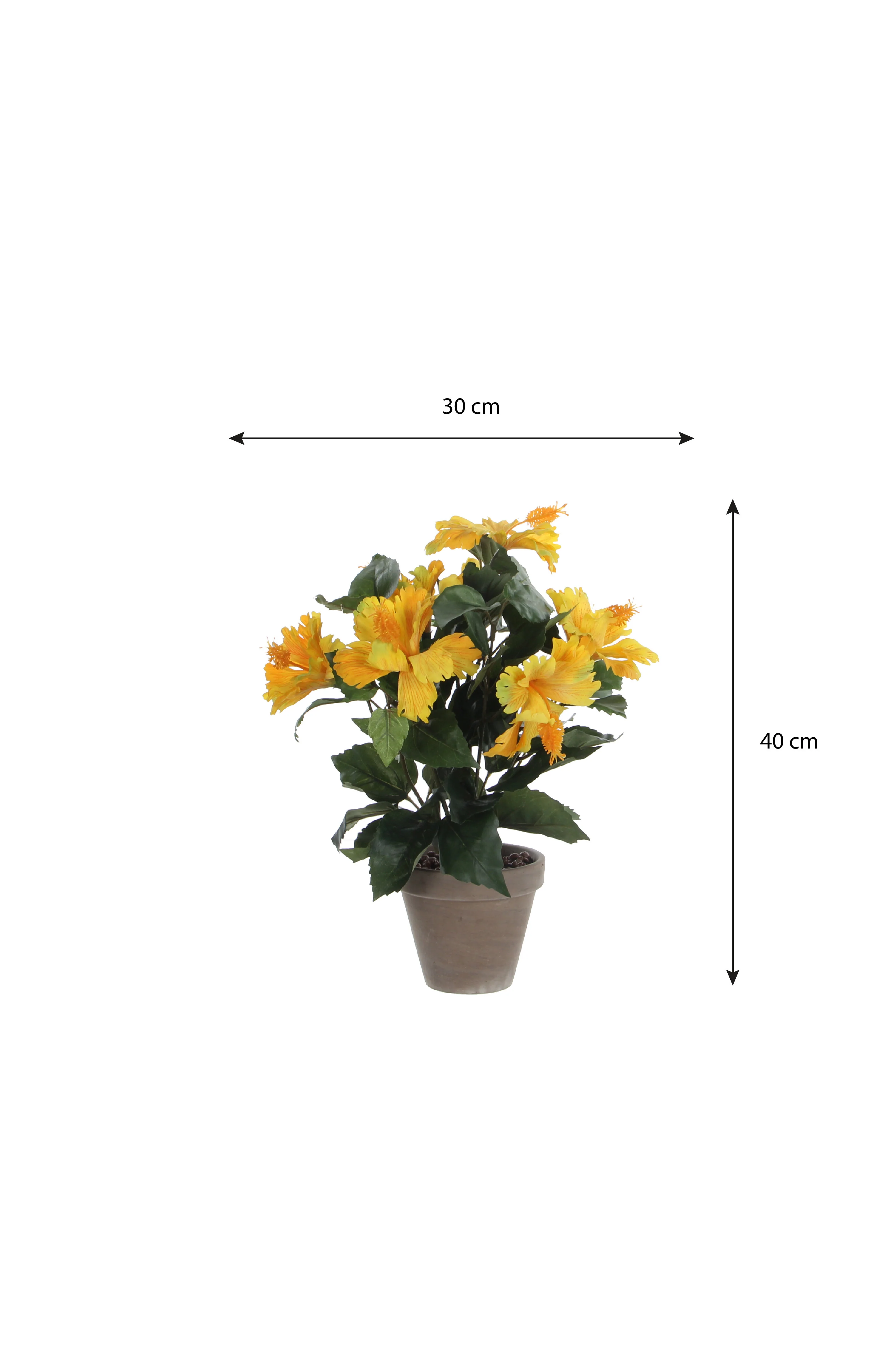 Miniatuur 4