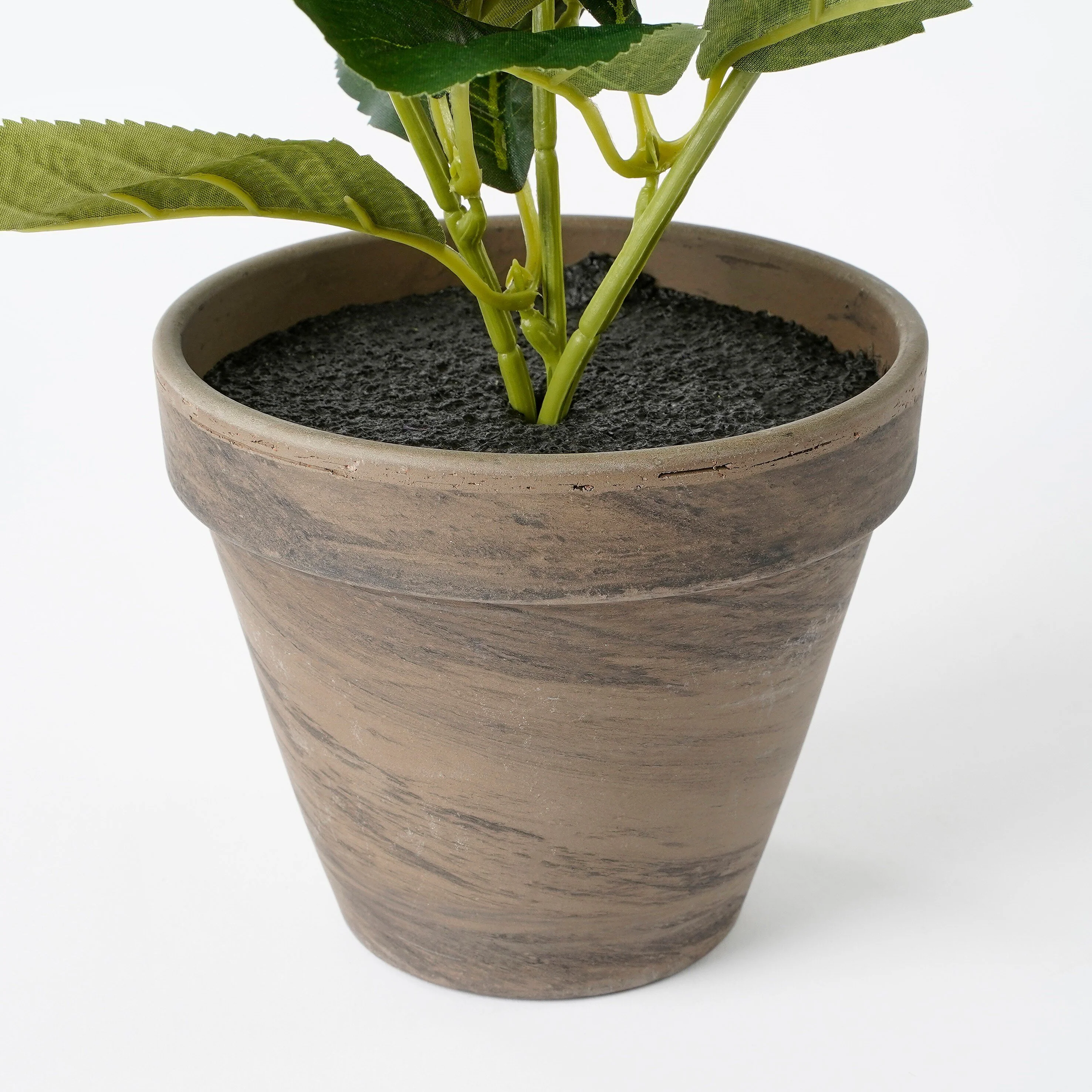 Miniatuur 3