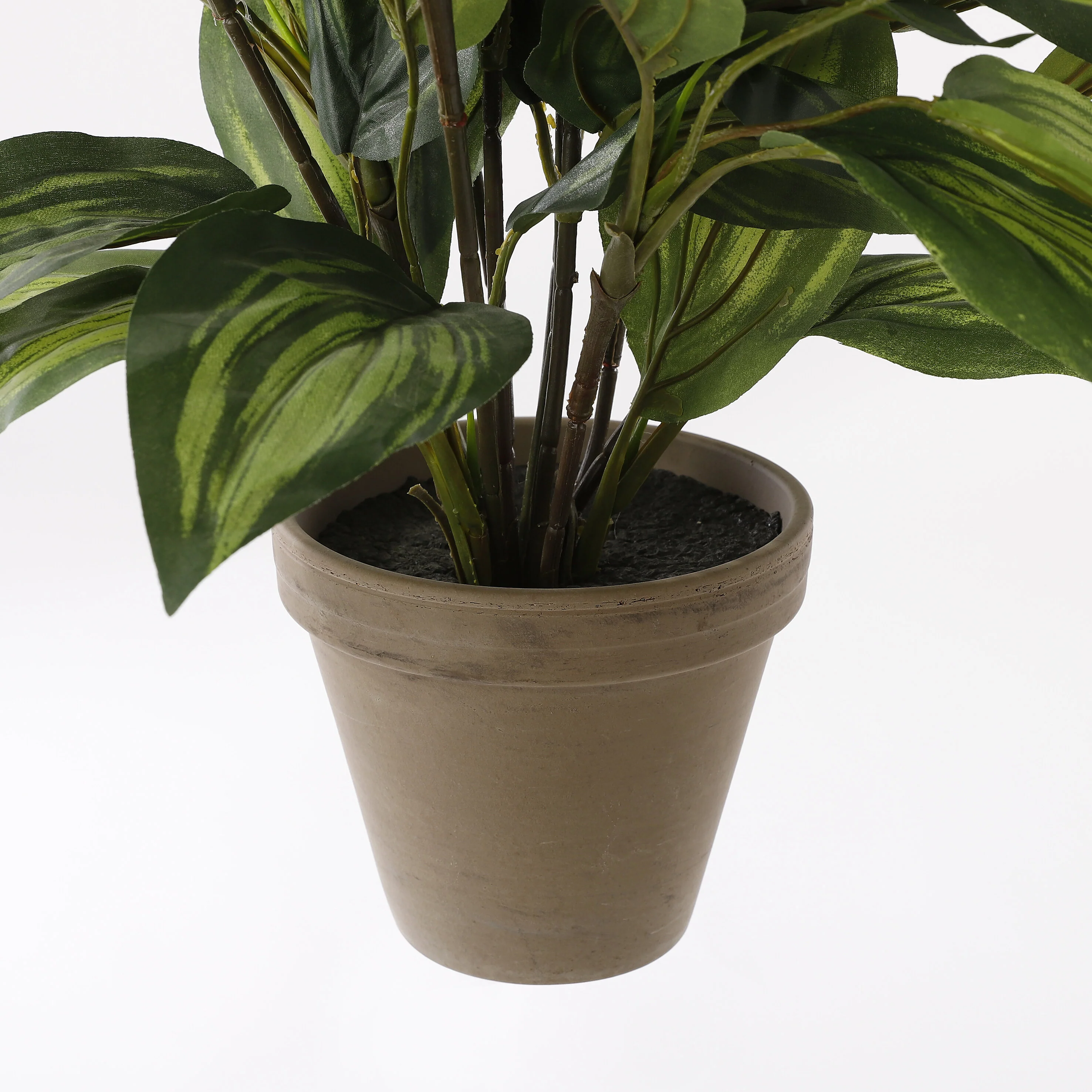Miniatuur 3