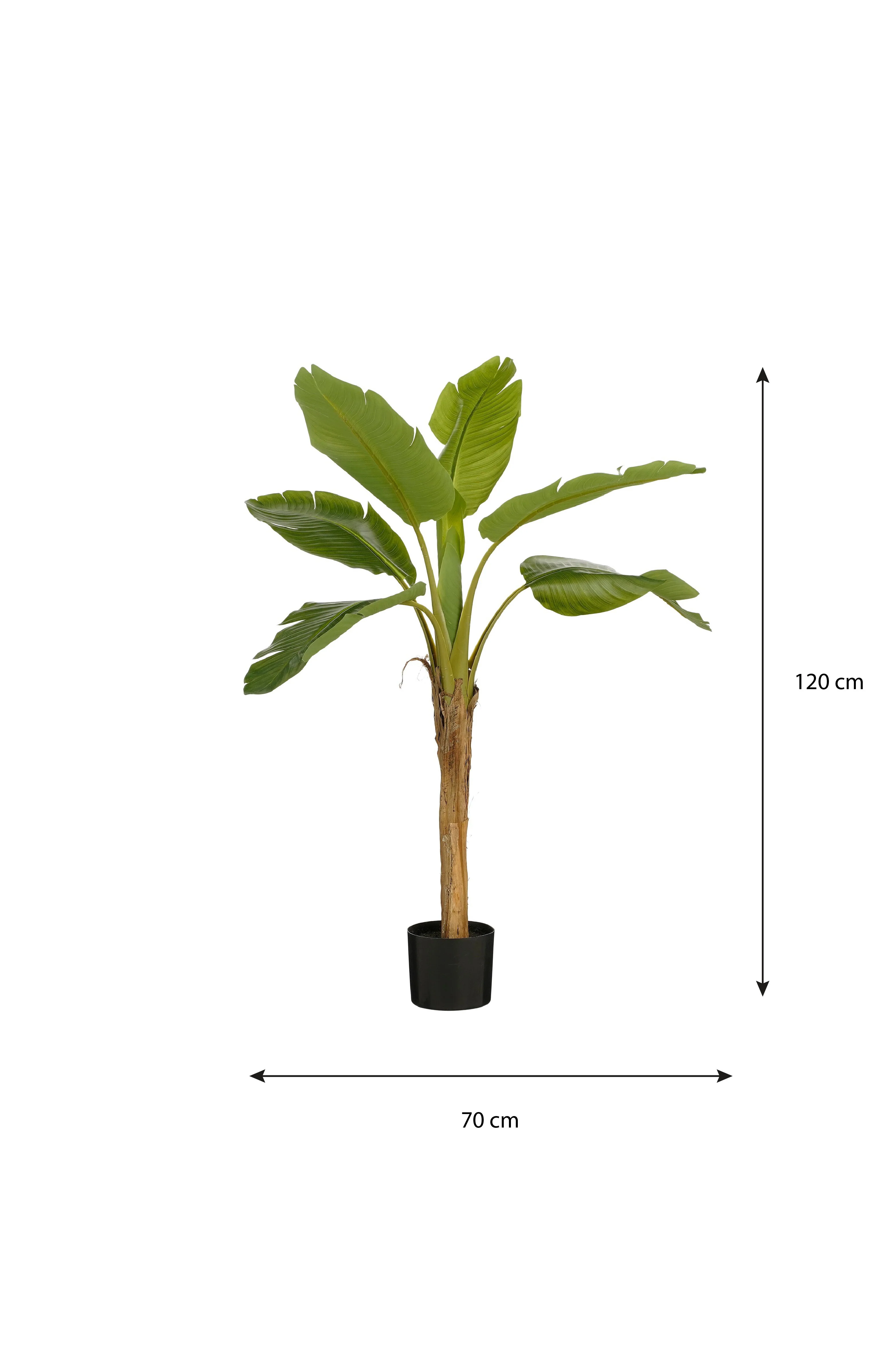 Miniatuur 4