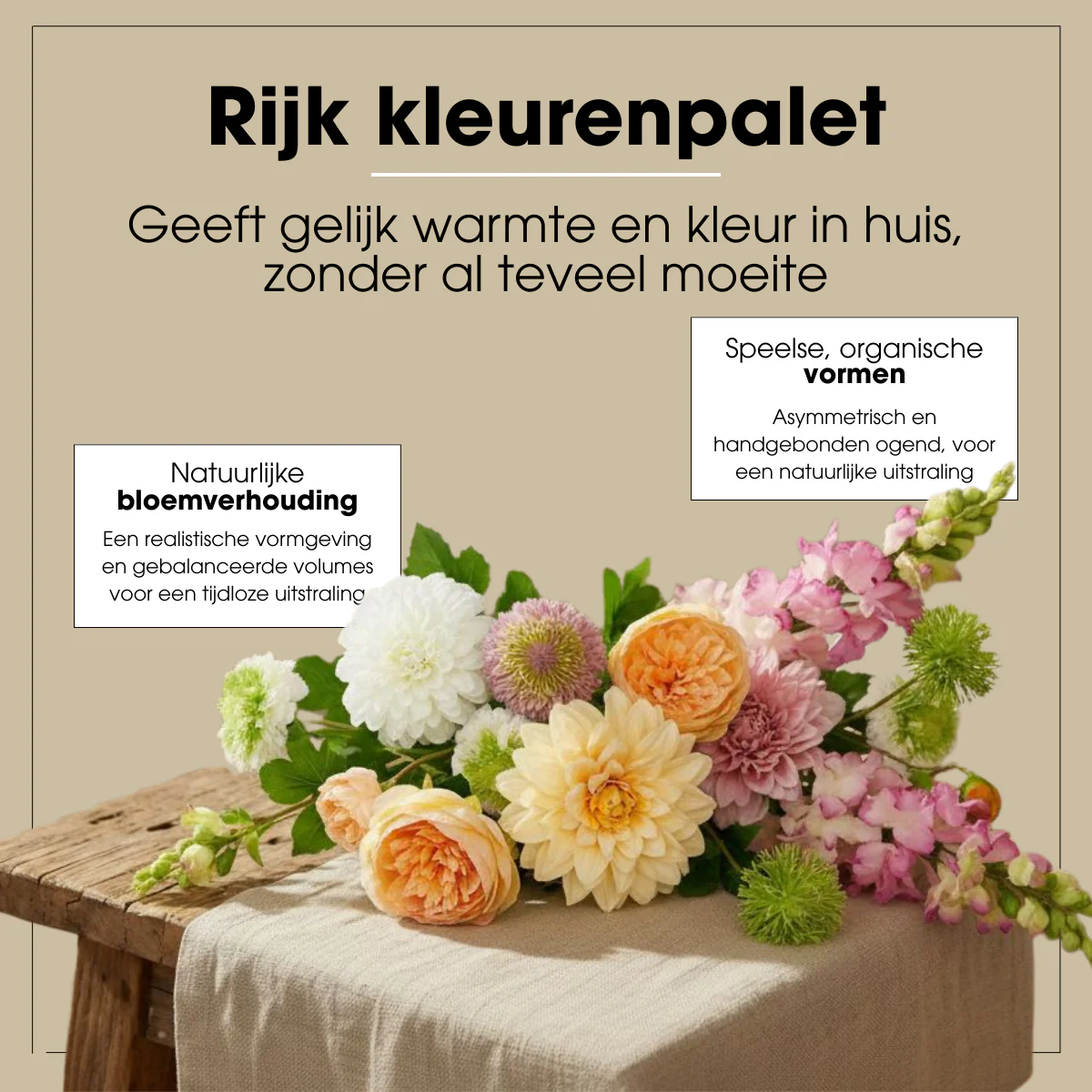 Miniatuur 6