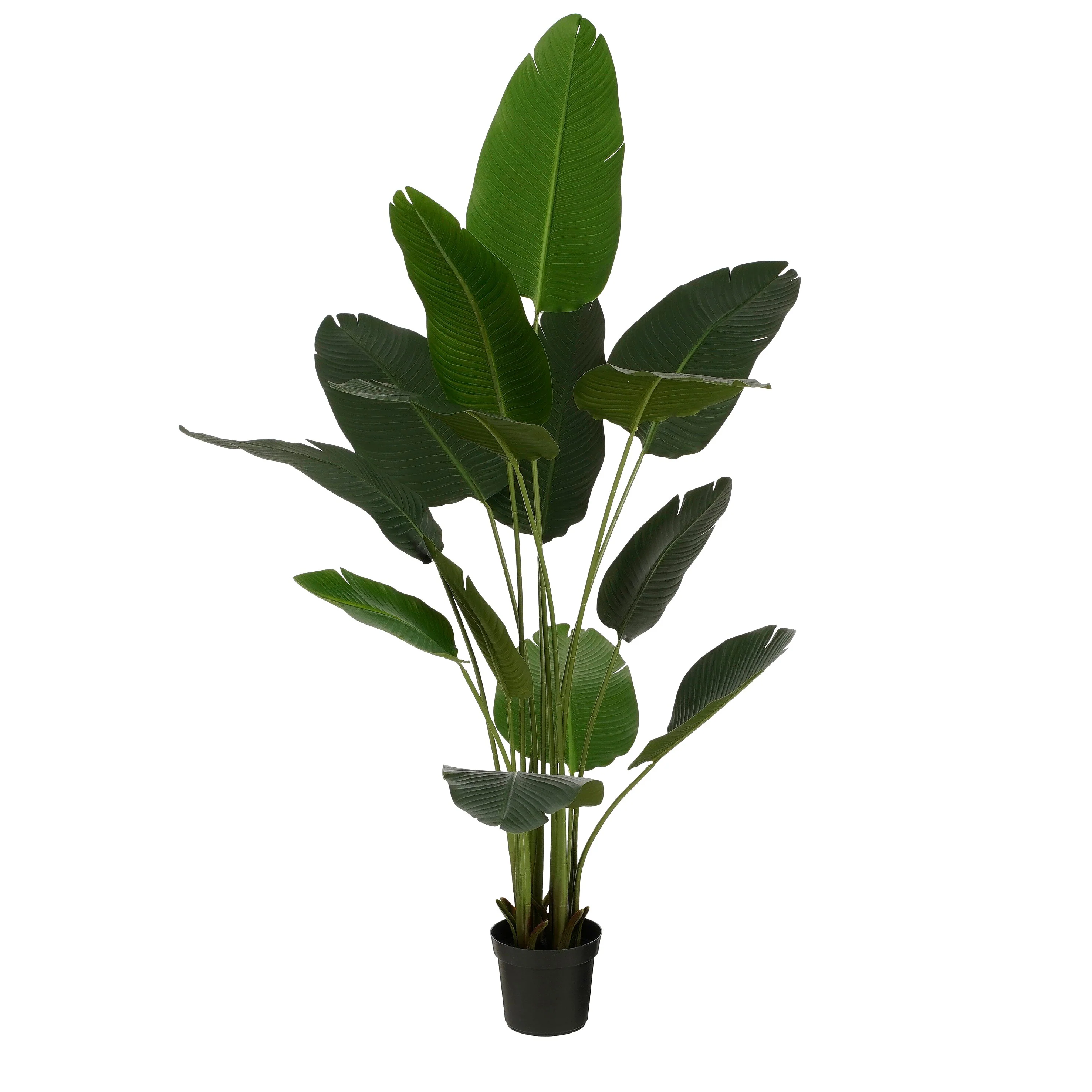 Productafbeelding 1