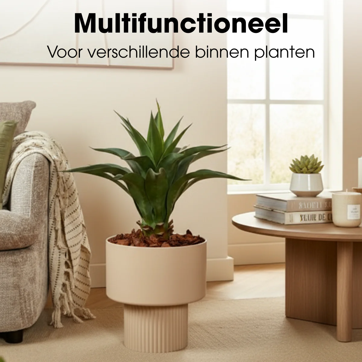 Miniatuur 6