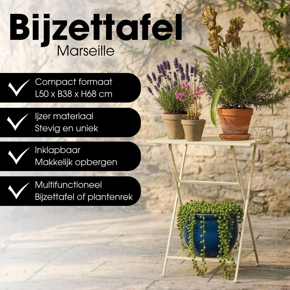 Miniatuur 4
