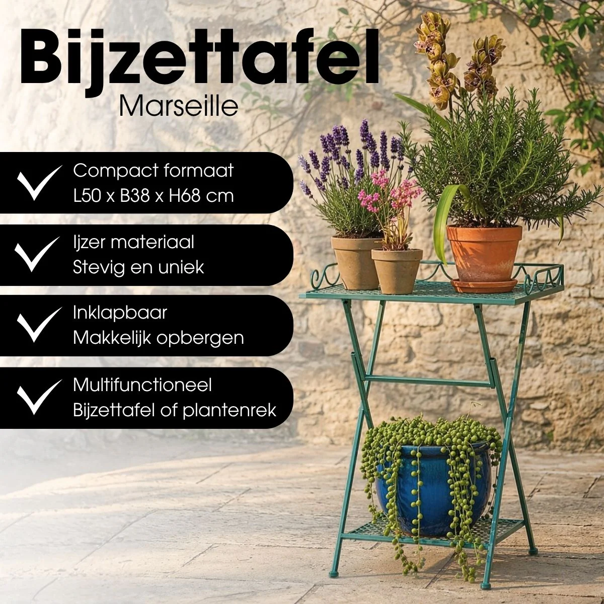 Miniatuur 4