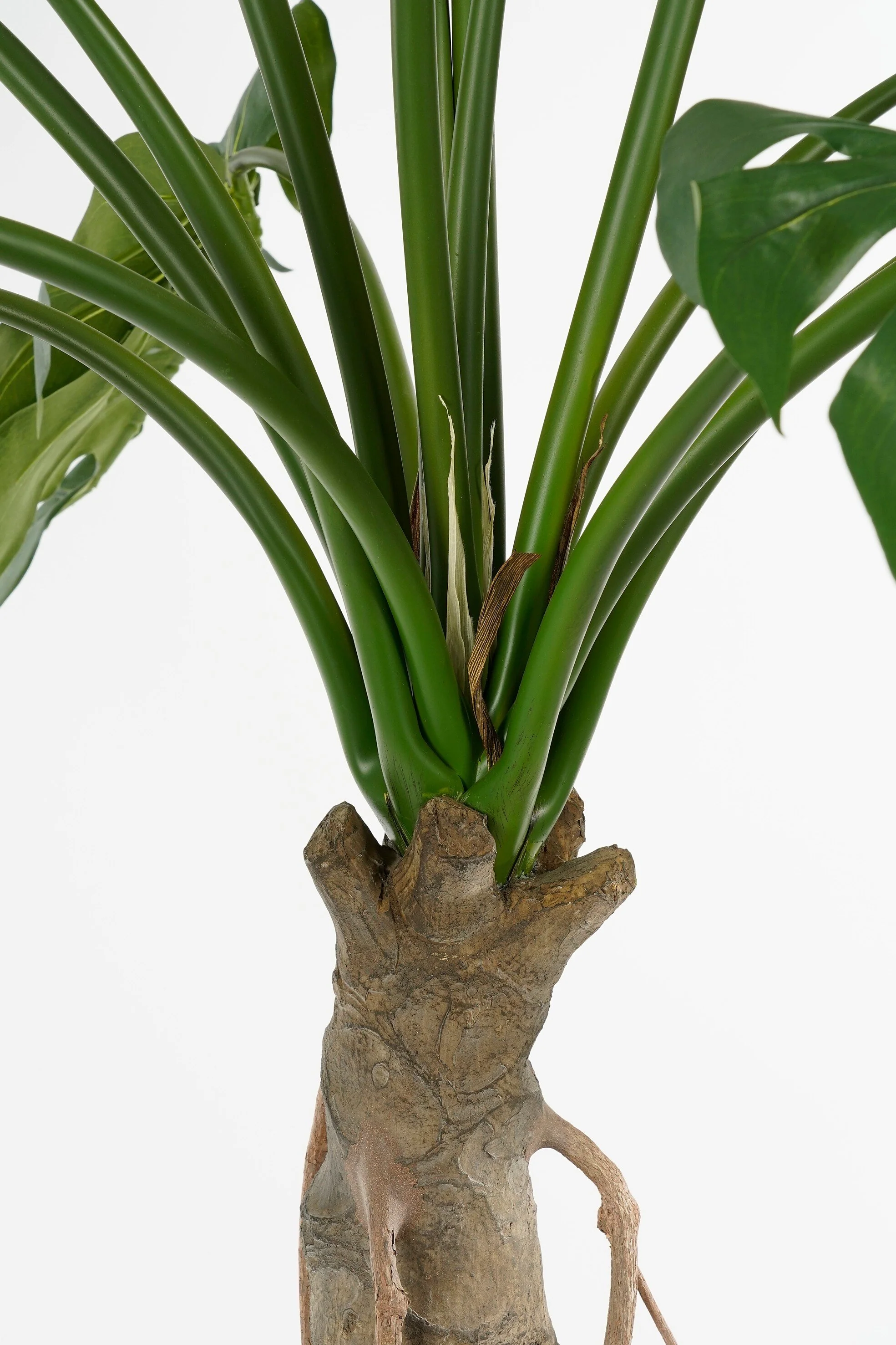 Miniatuur 3