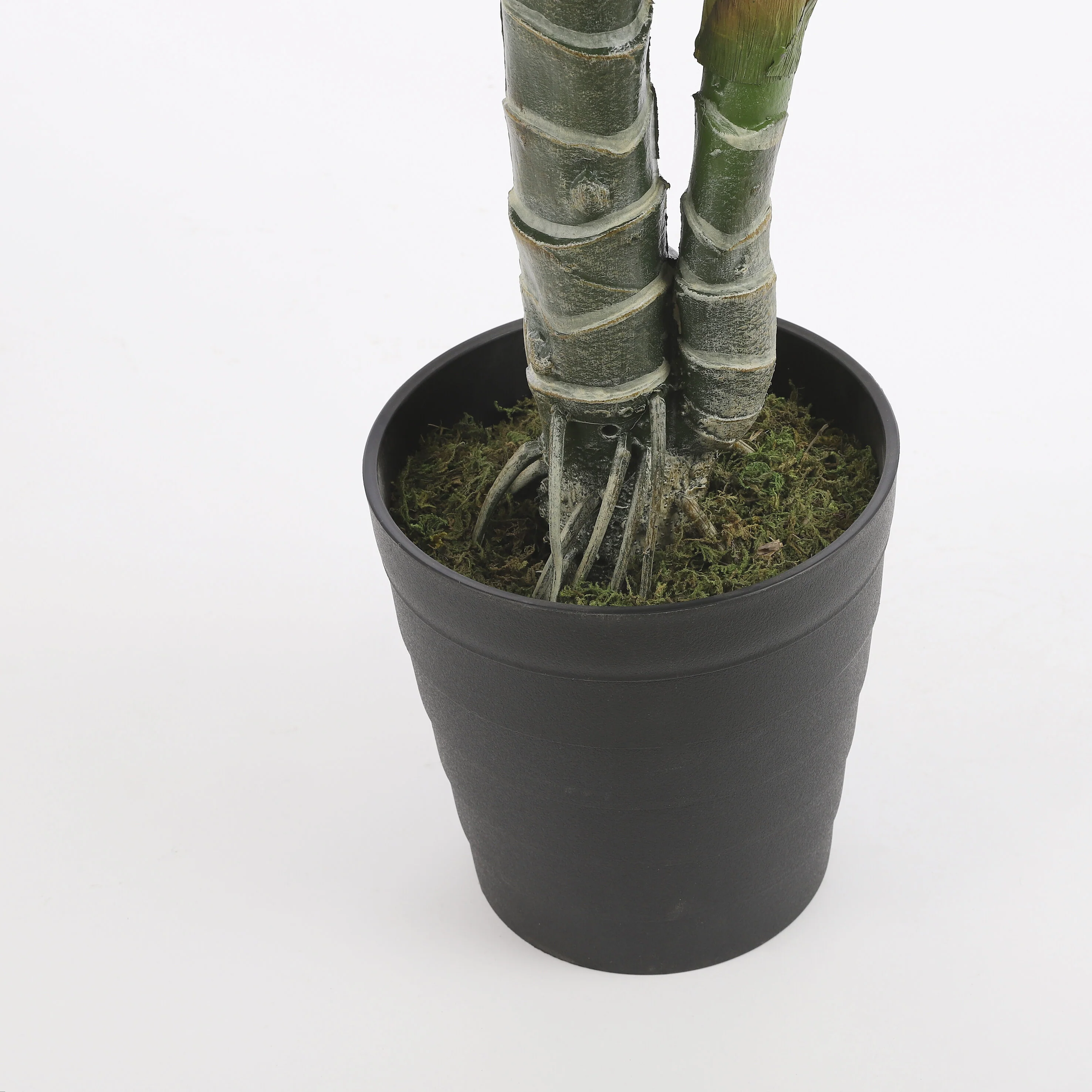 Miniatuur 3