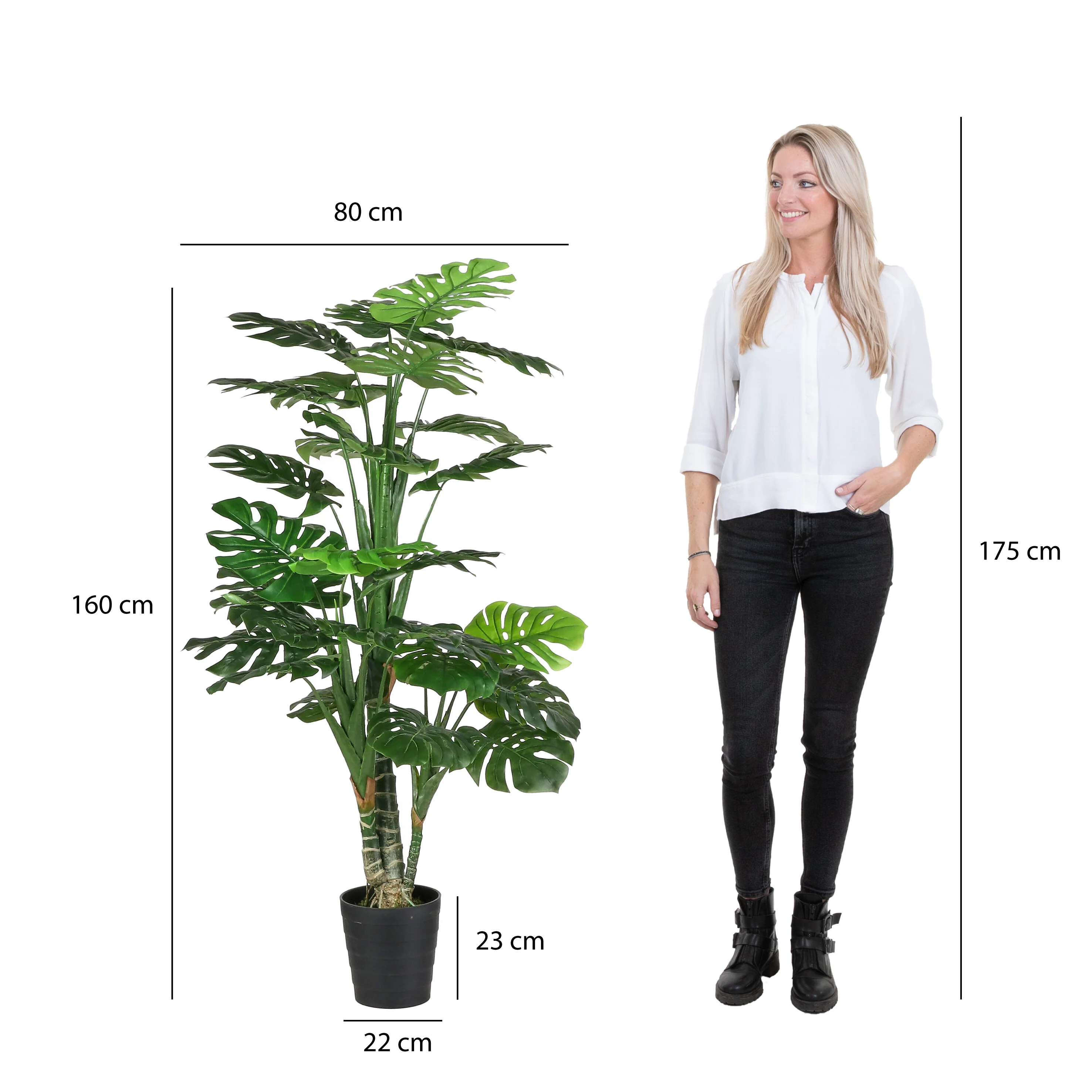 Miniatuur 4