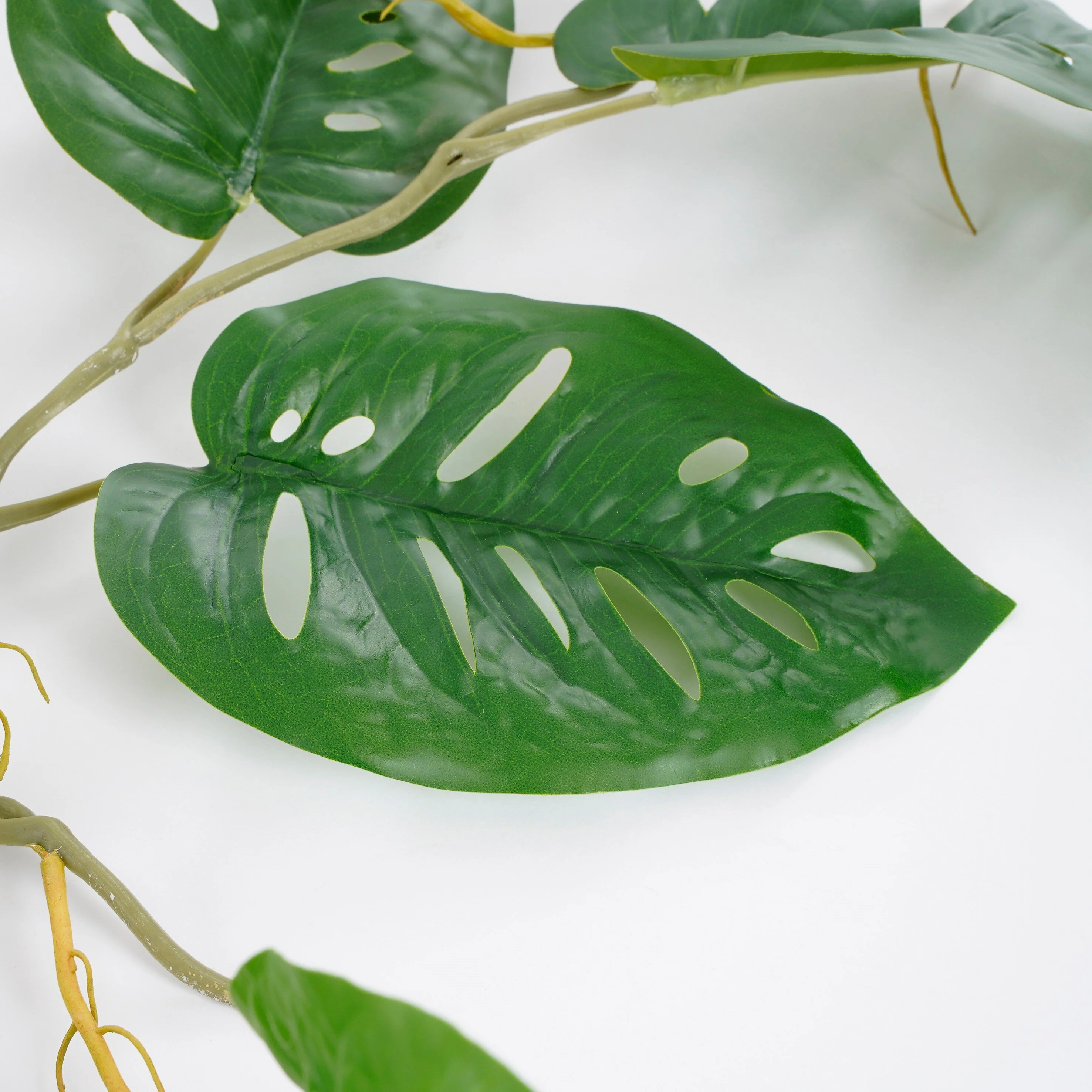 Miniatuur 3