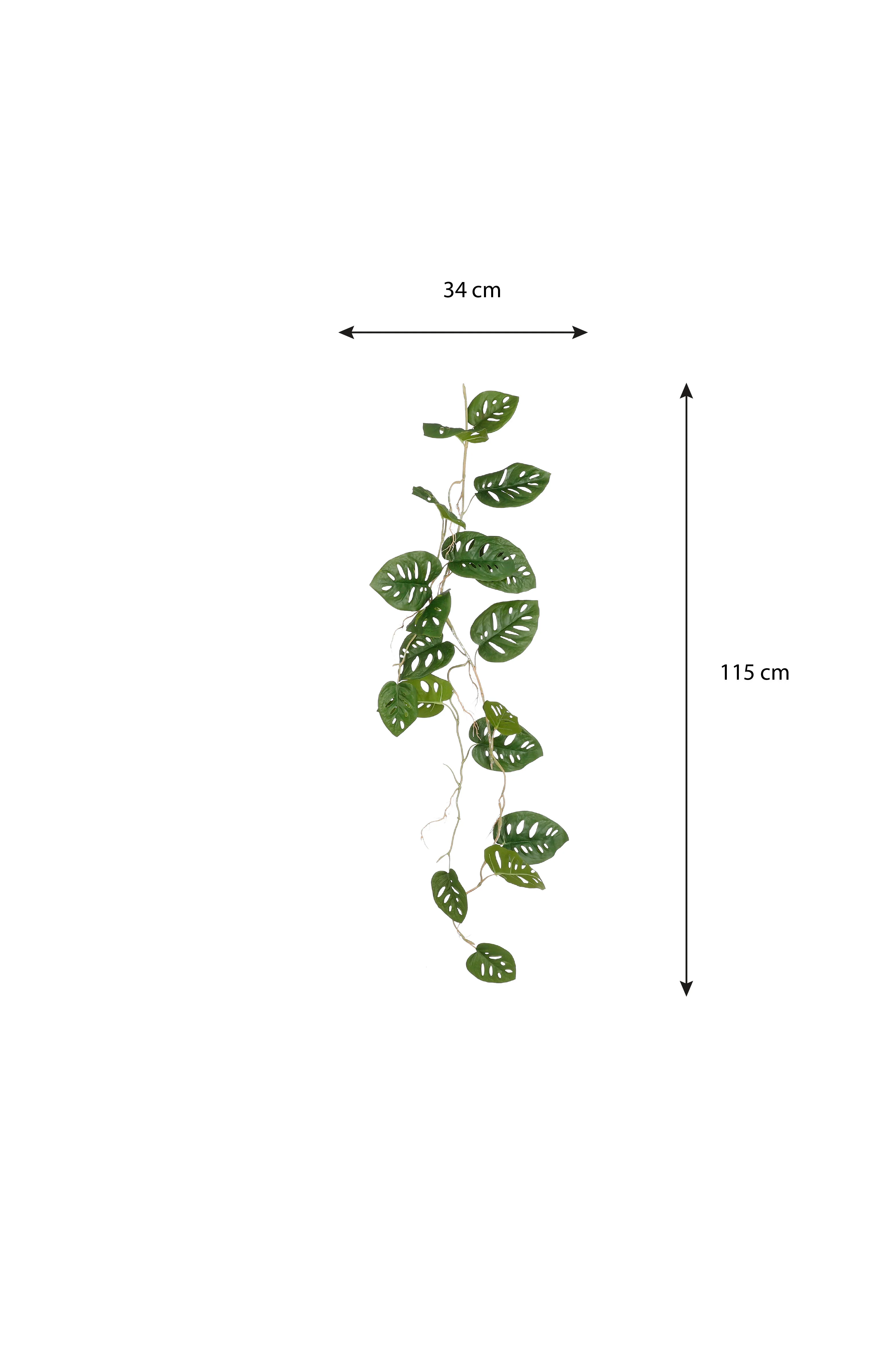 Miniatuur 4