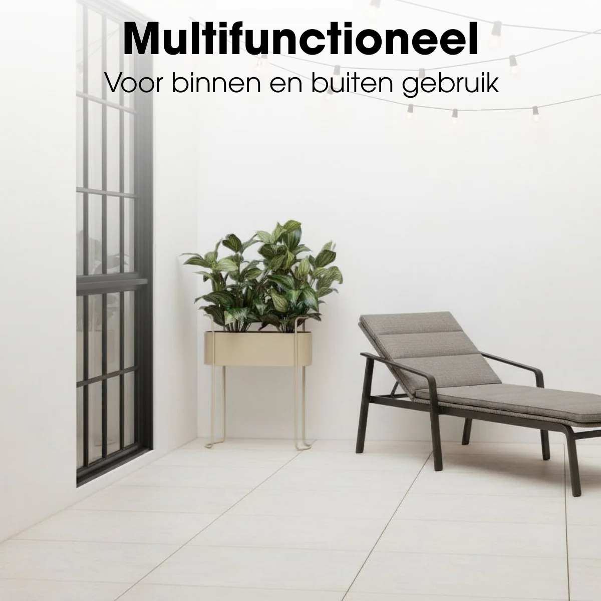 Miniatuur 6