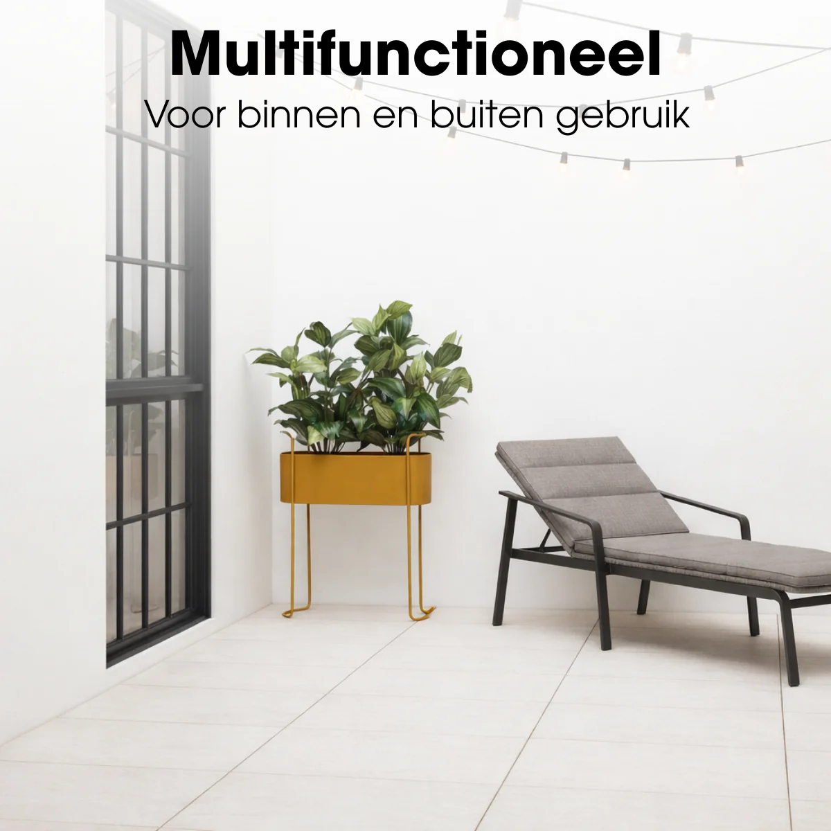 Miniatuur 6