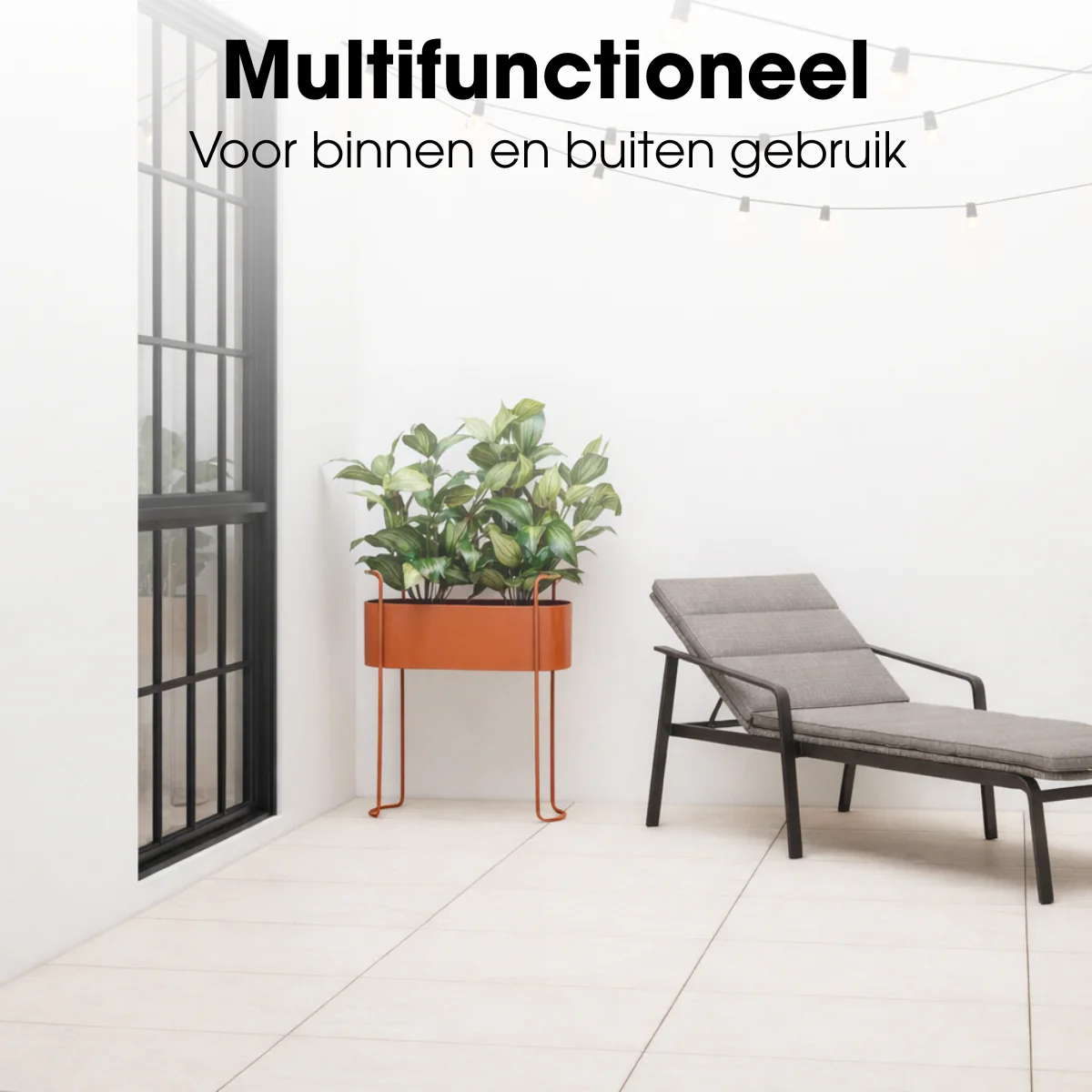 Miniatuur 6