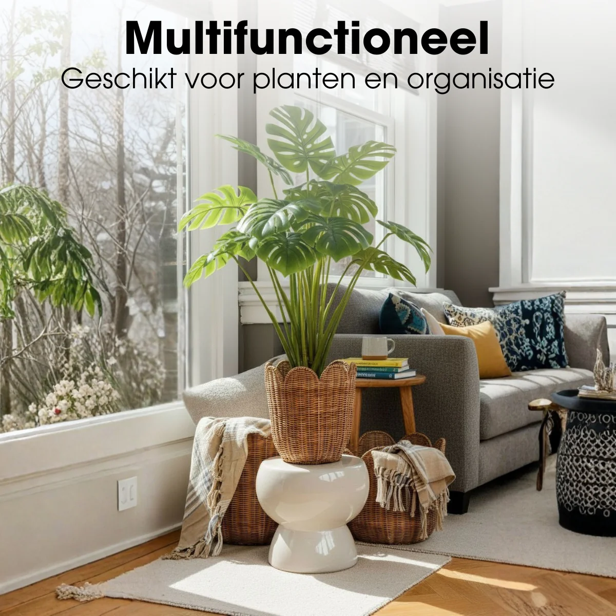Miniatuur 6