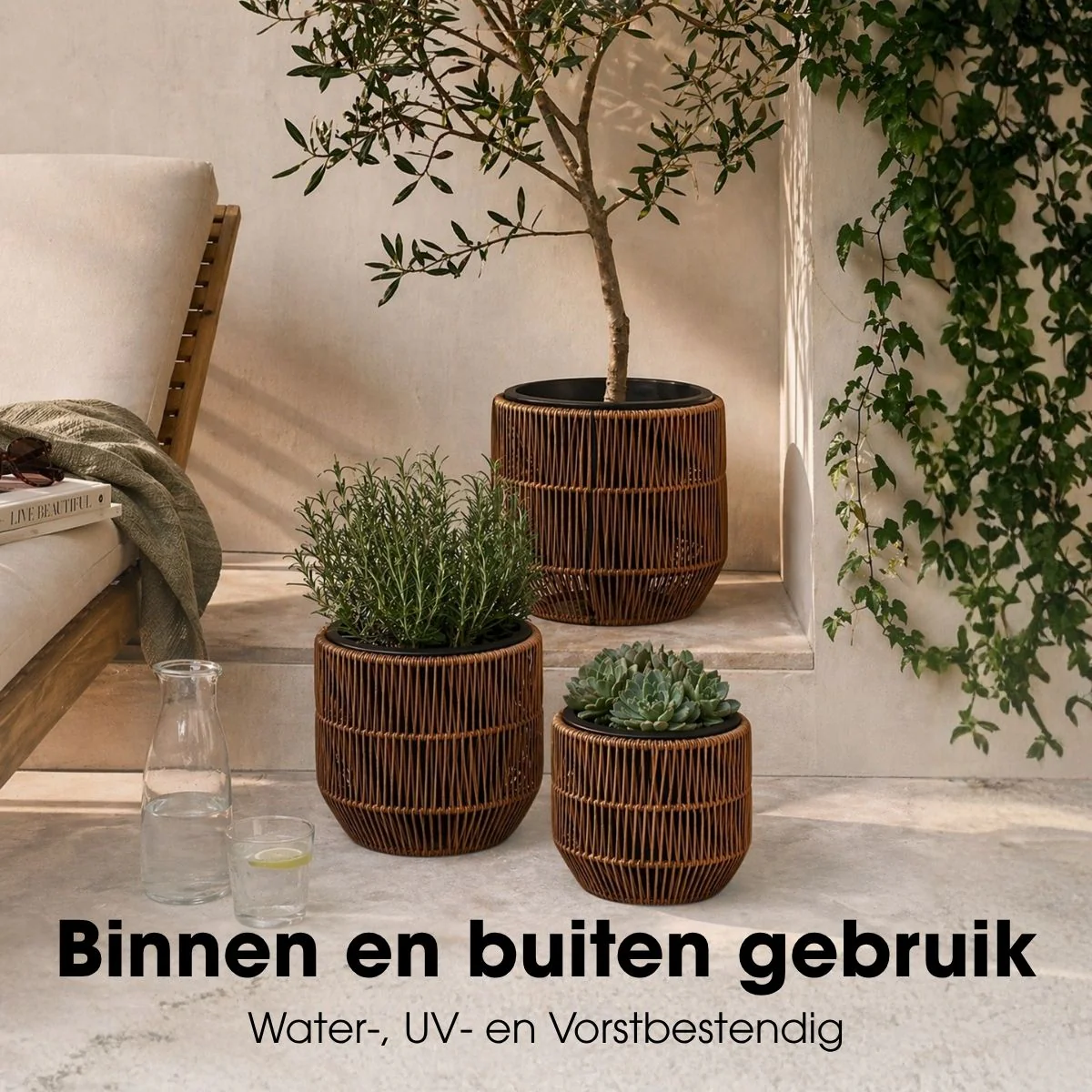 Miniatuur 5