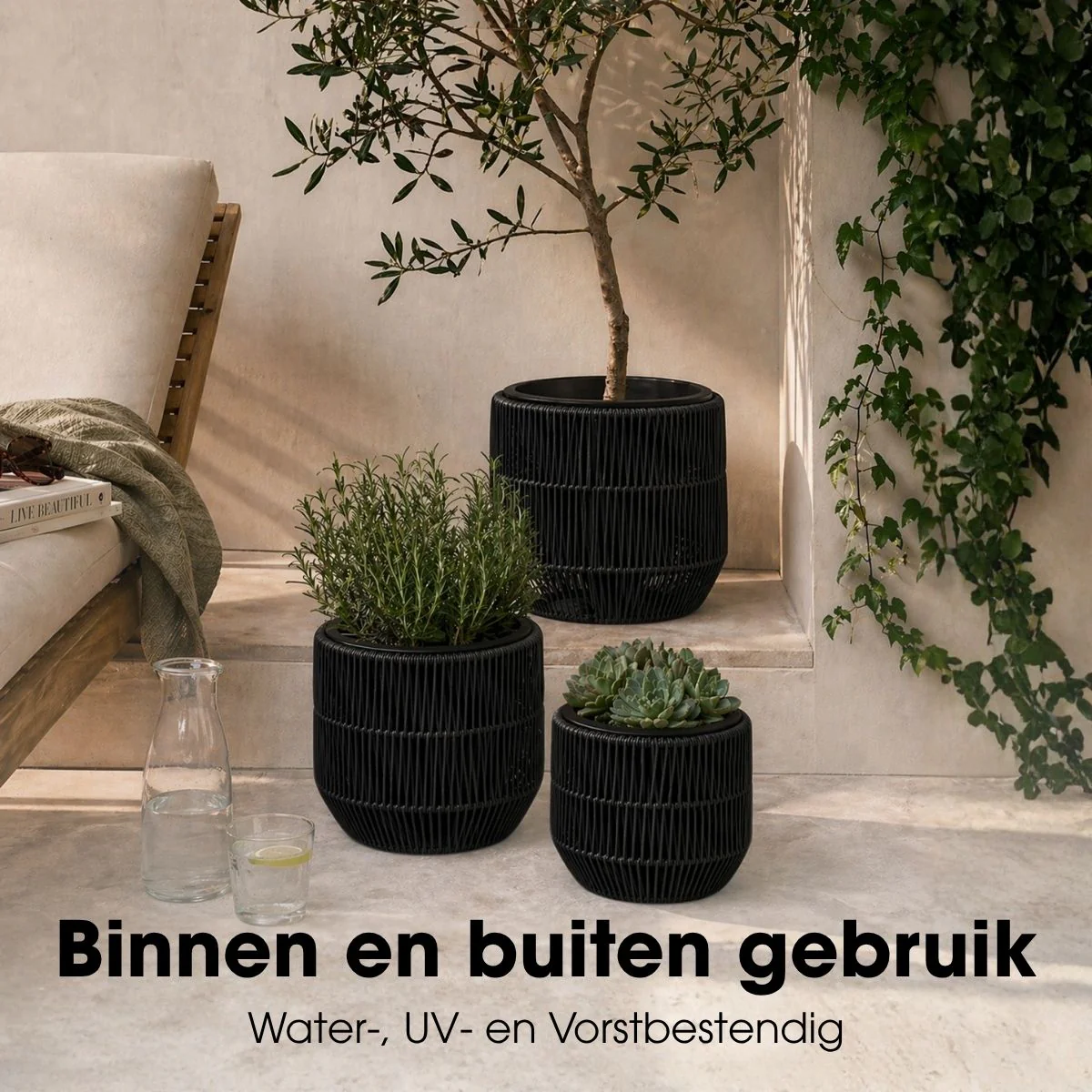 Miniatuur 5