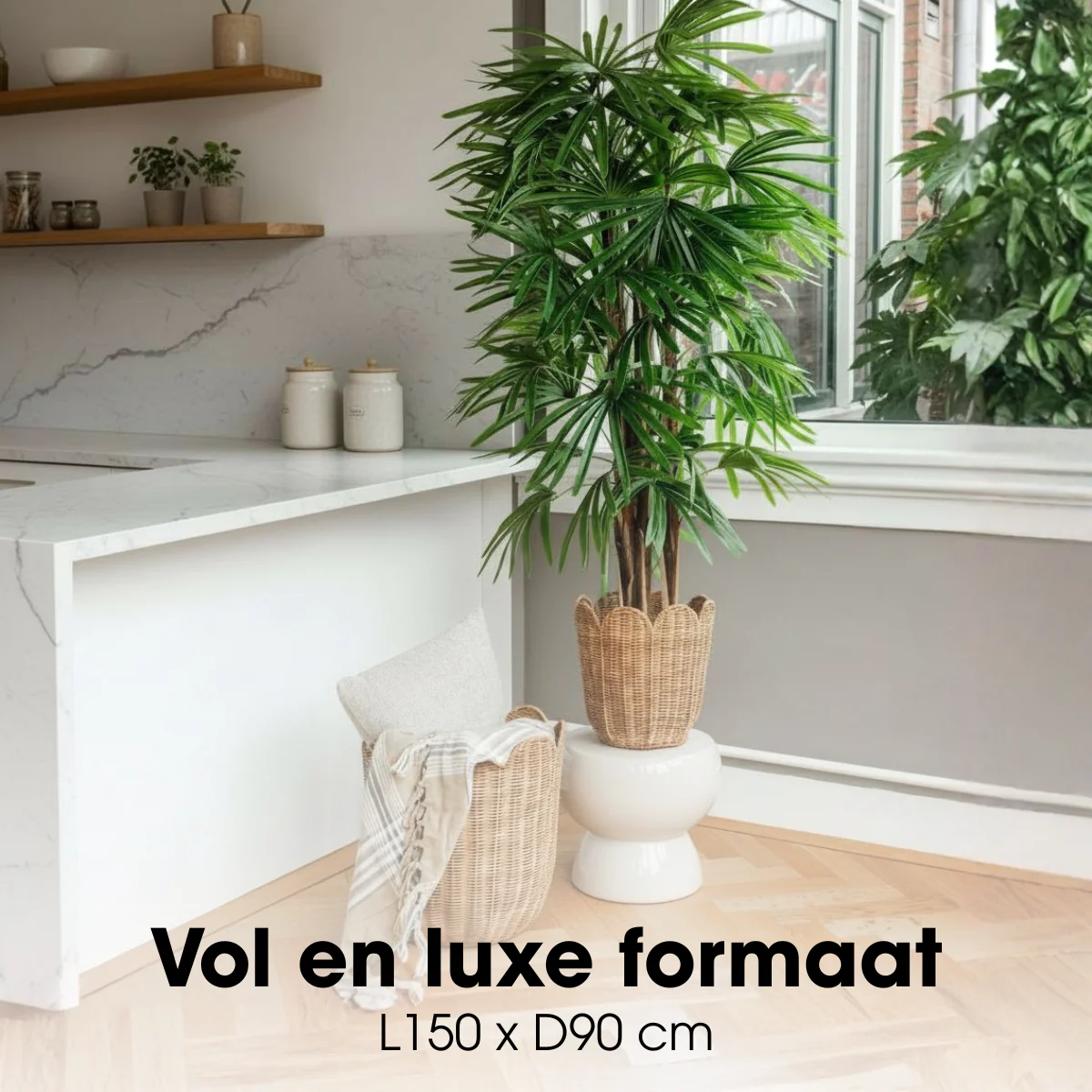 Miniatuur 3