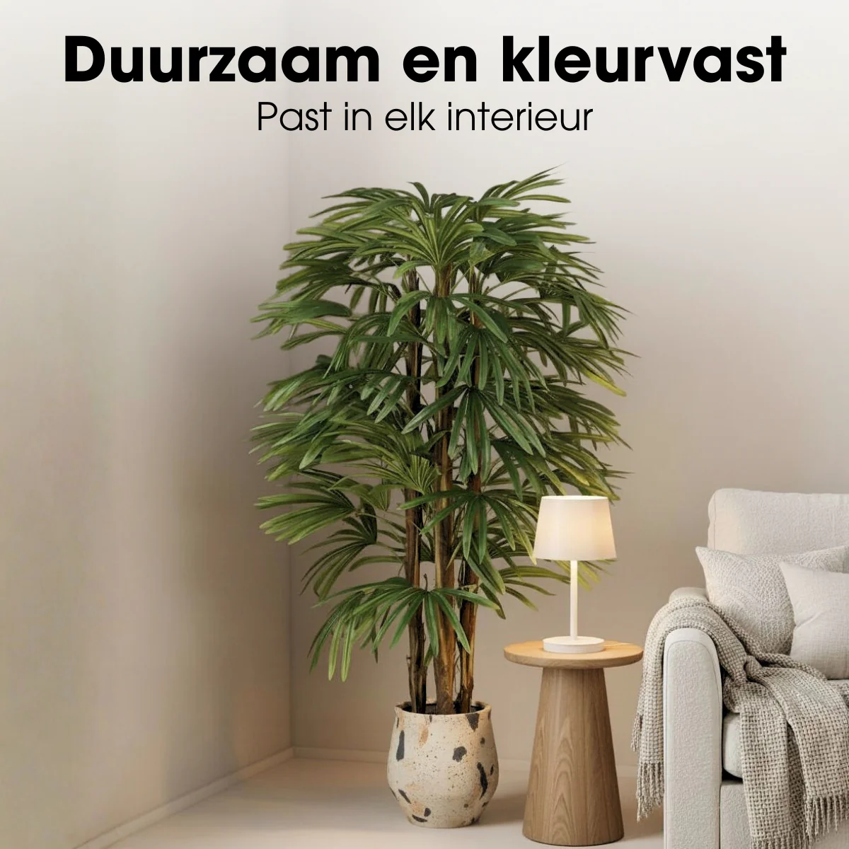 Miniatuur 7