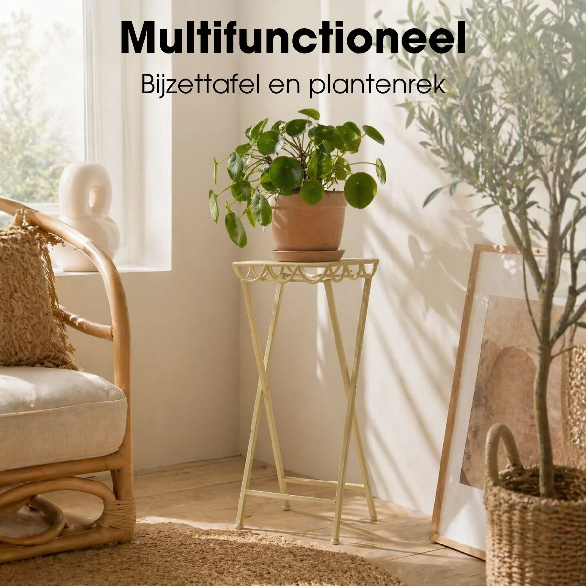 Miniatuur 7